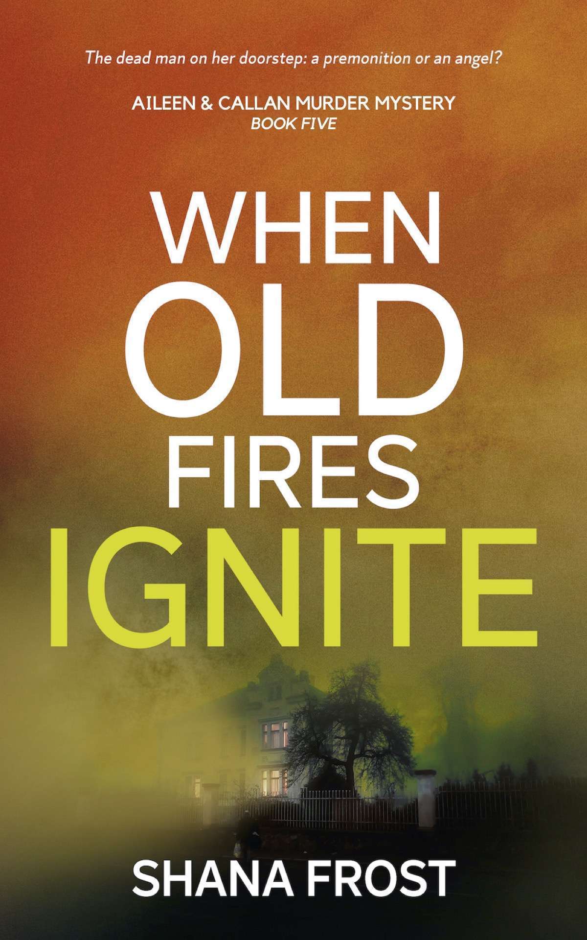 When Old Fires Ignite: Aileen & Callan Murder Mysteries (Book 5)