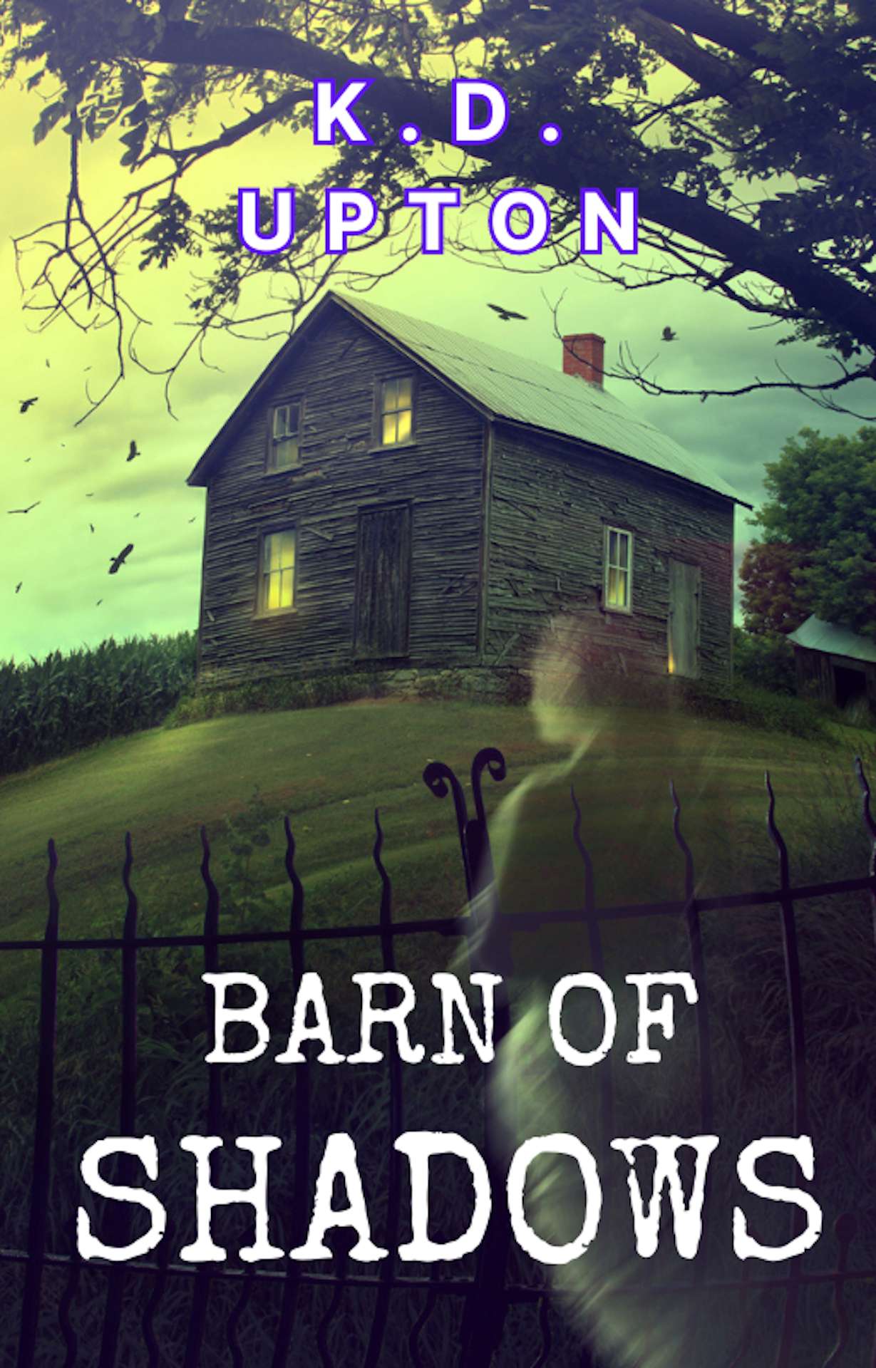 Barn of Shadows