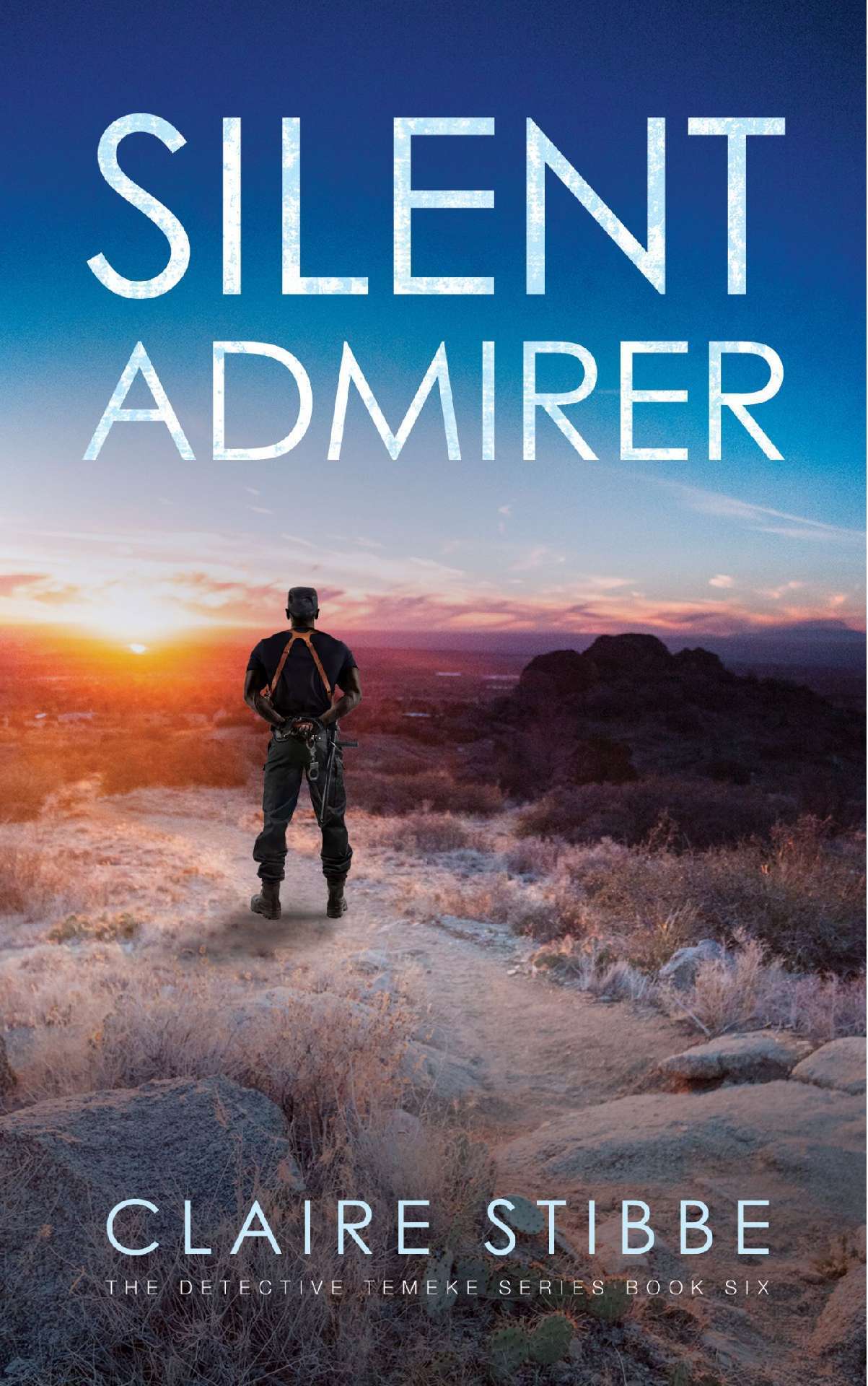 Silent Admirer - Book 6 of the Detective Temeke Crime Series