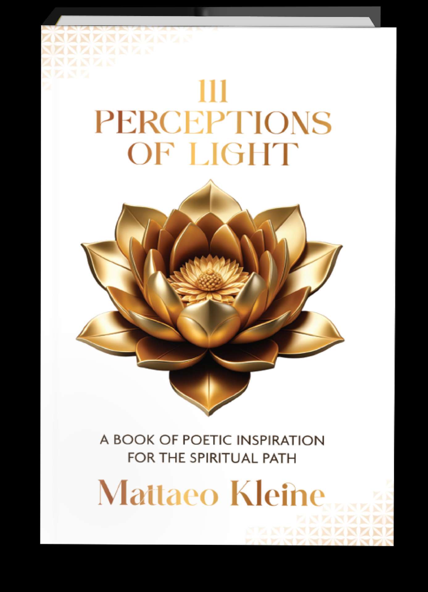 111 Perceptions of Light