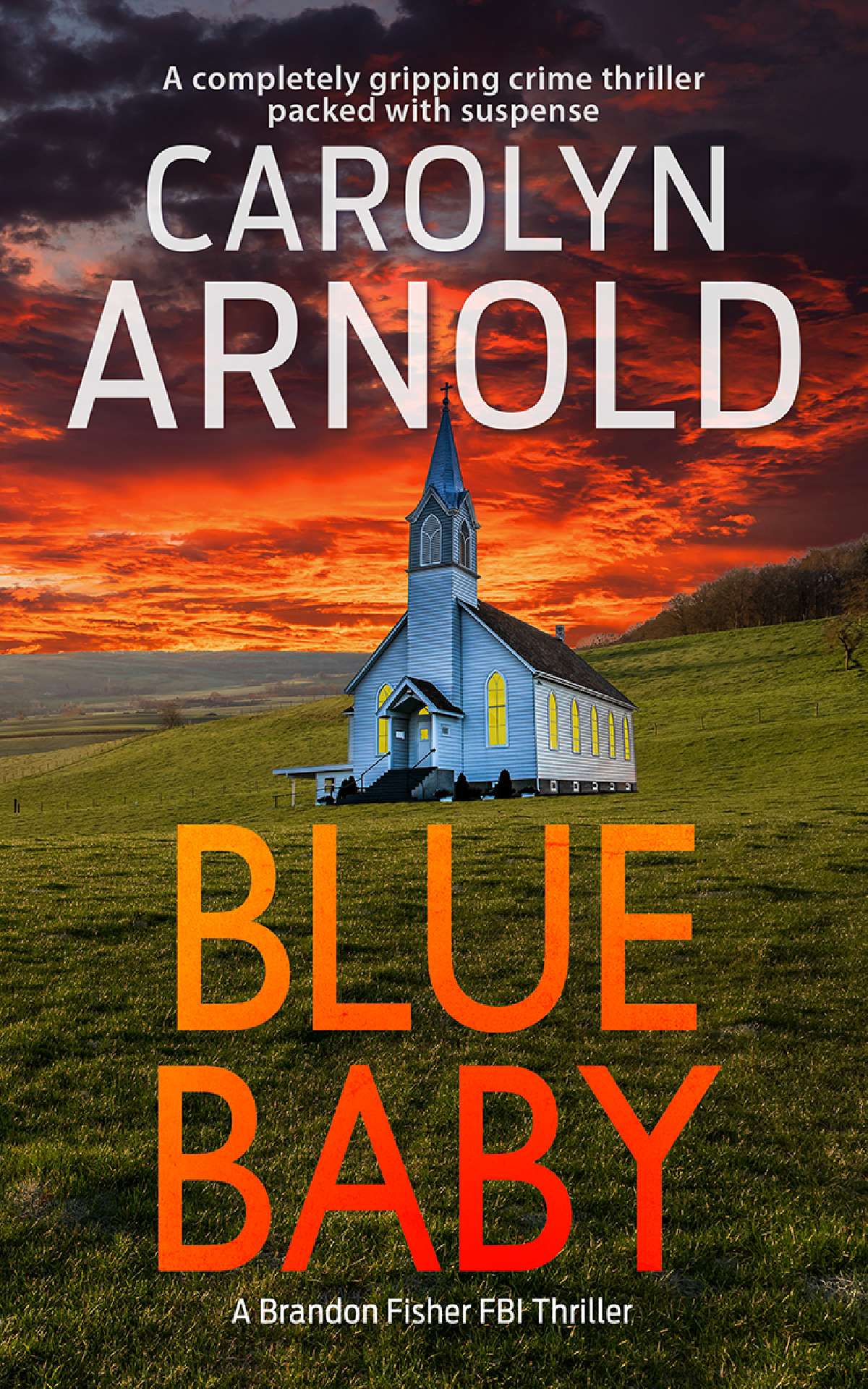 Carolyn Arnold - Blue Baby - Brandon Fisher FBI Series 4
