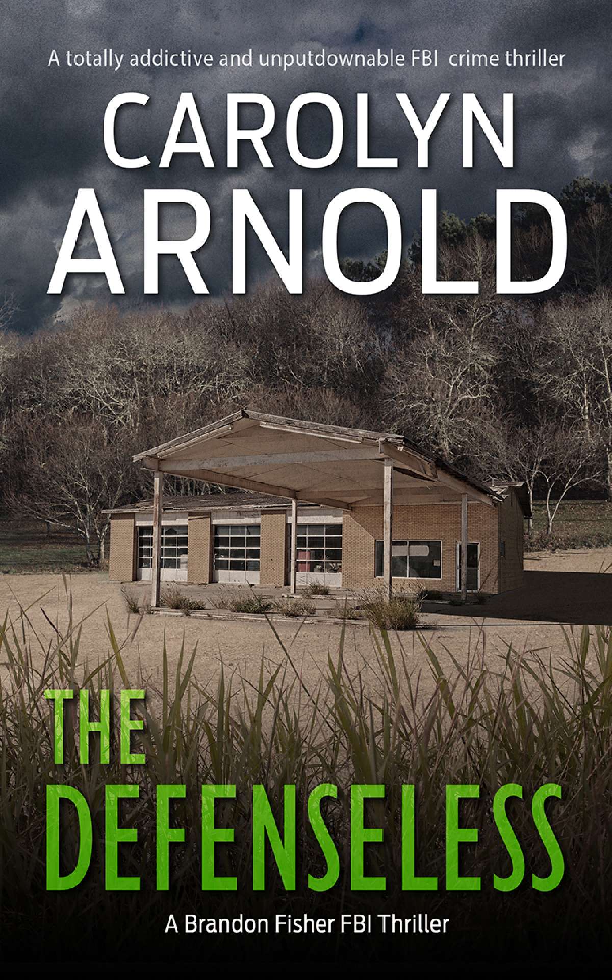 Carolyn Arnold - The Defenseless - Brandon Fisher FBI Series 3