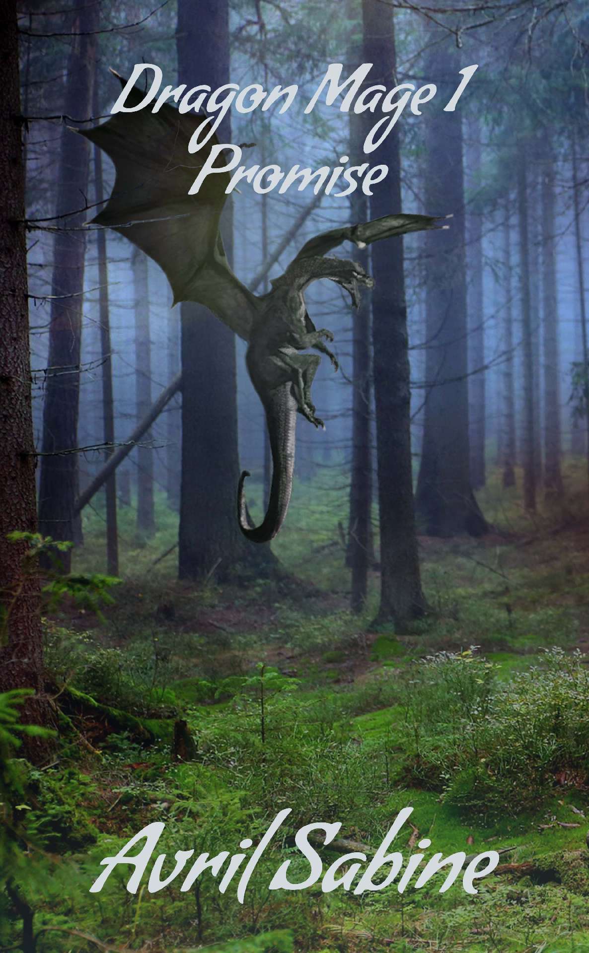 Avril Sabine - Promise - Dragon Mage 1