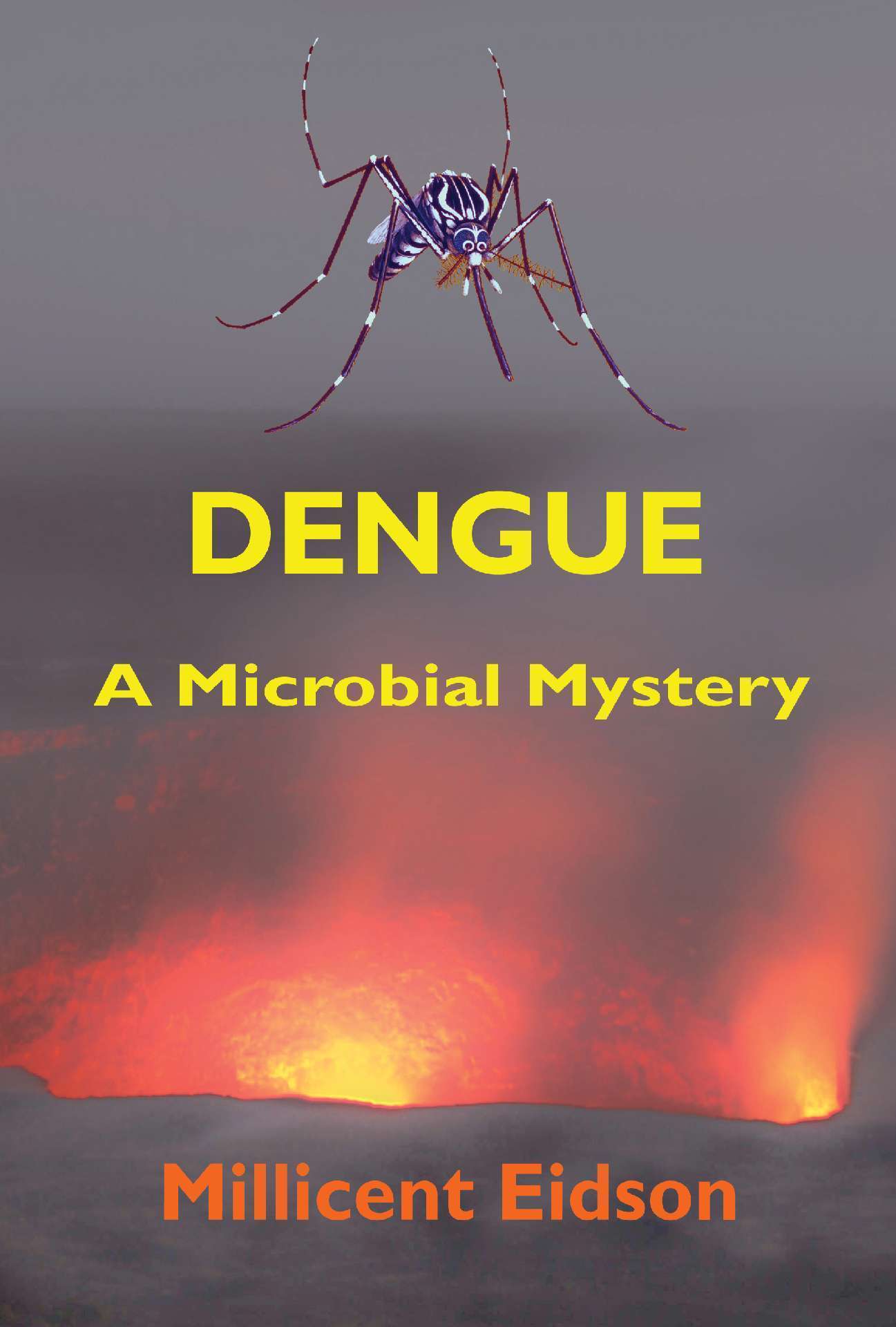 Dengue: A Microbial Mystery