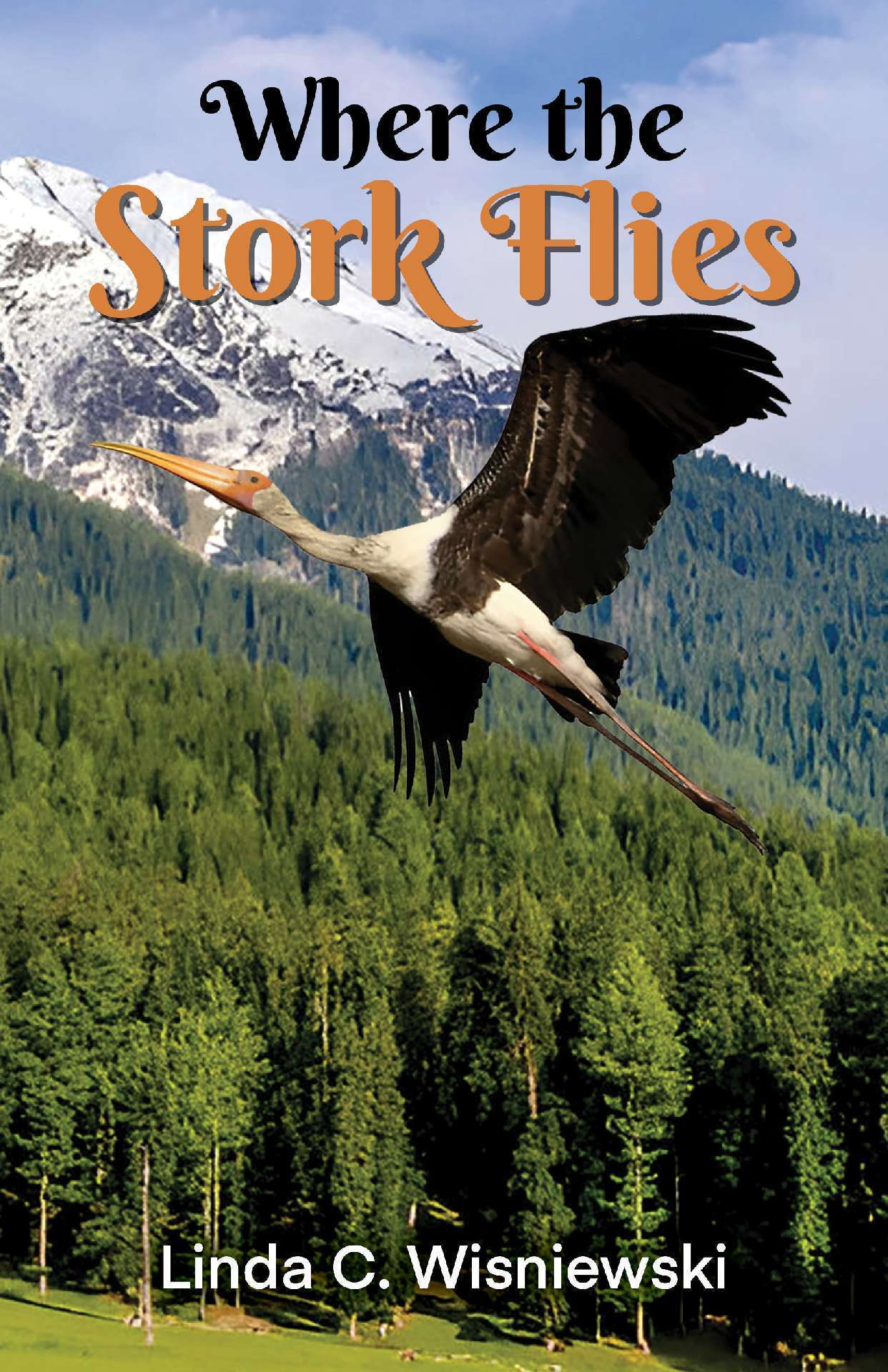 Where the Stork Flies