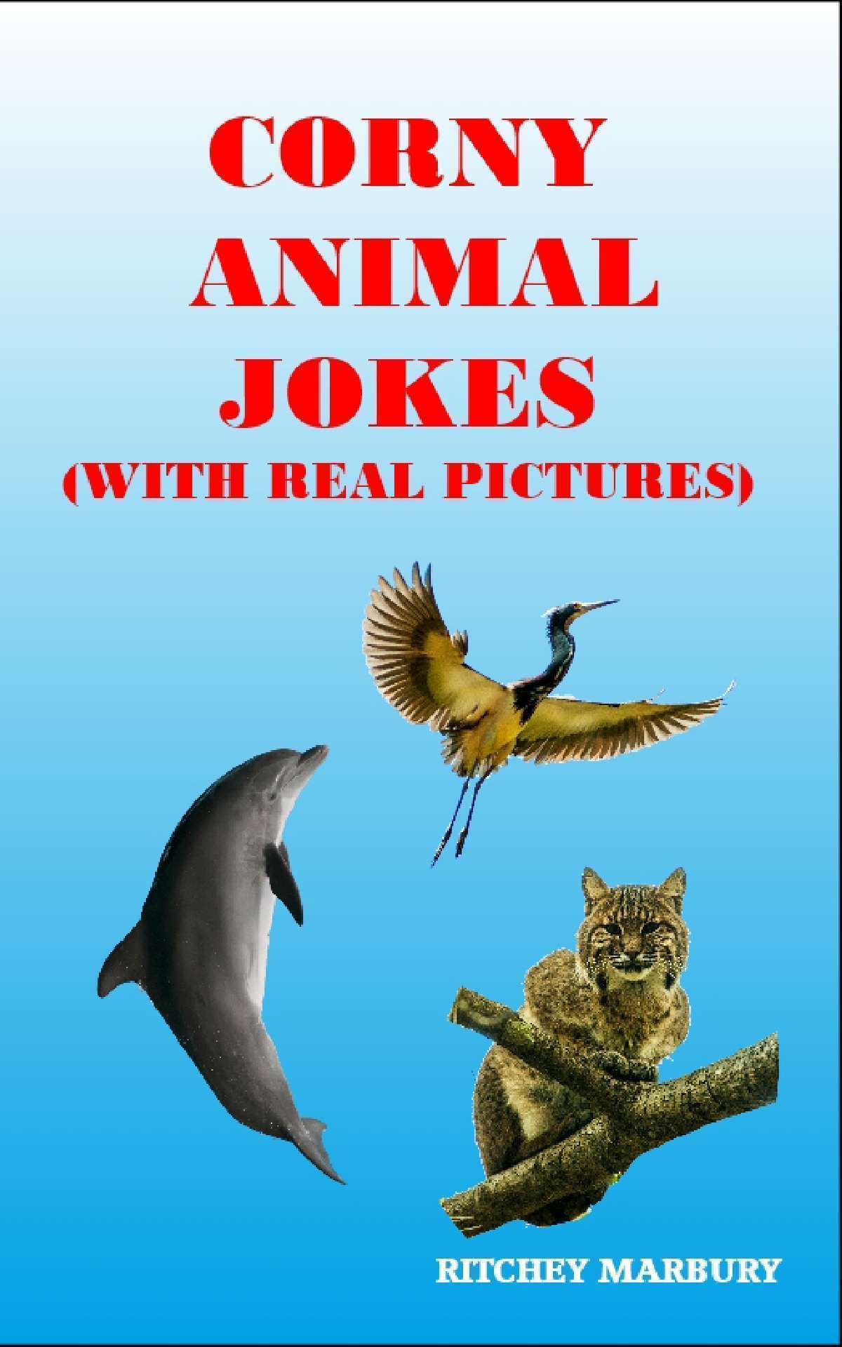 CORNY ANIMAL JOKES (WITH REAL PICTURES)