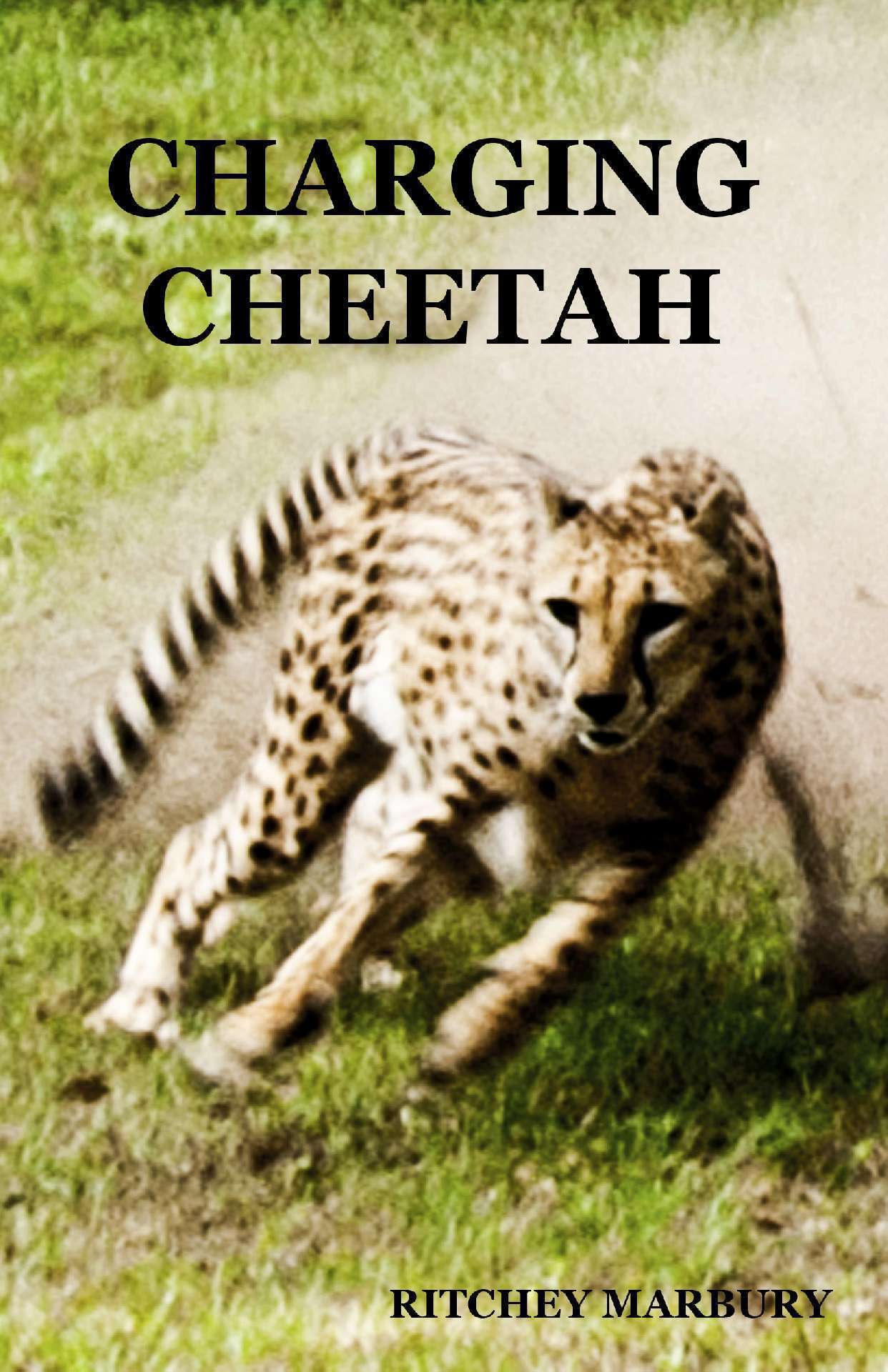 CHARGINGCHEETAH