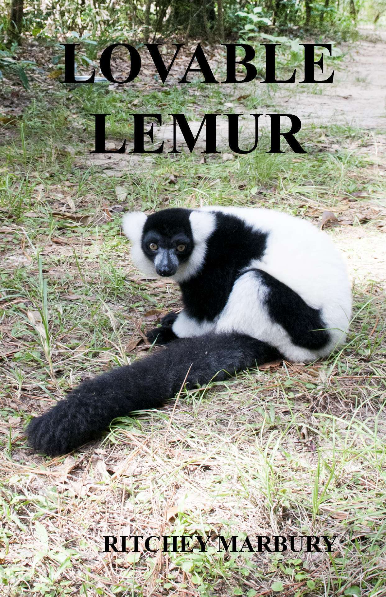 LOVABLE LEMUR