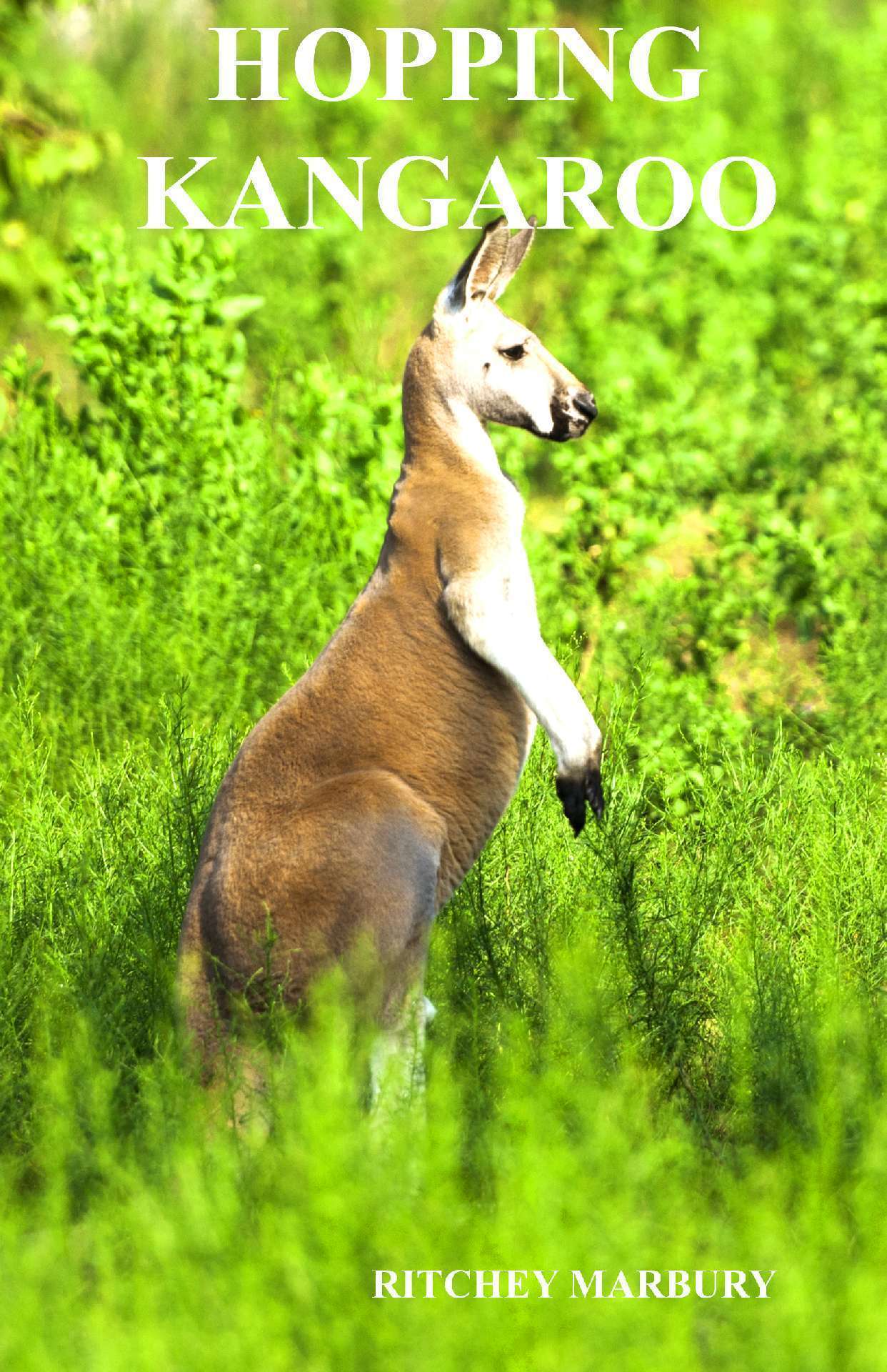 HOPPING KANGAROO