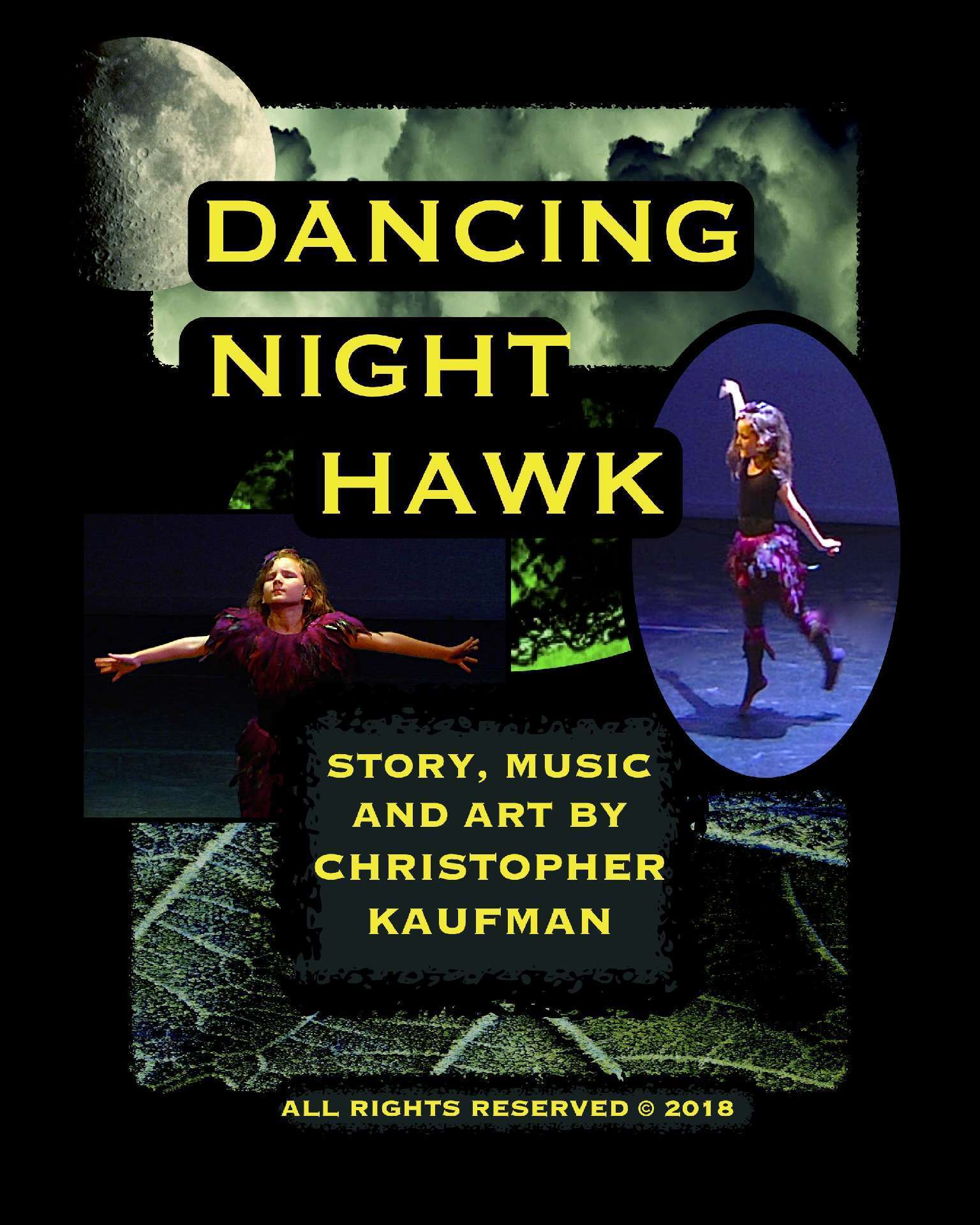 DANCING NIGHT HAWK (audio book)