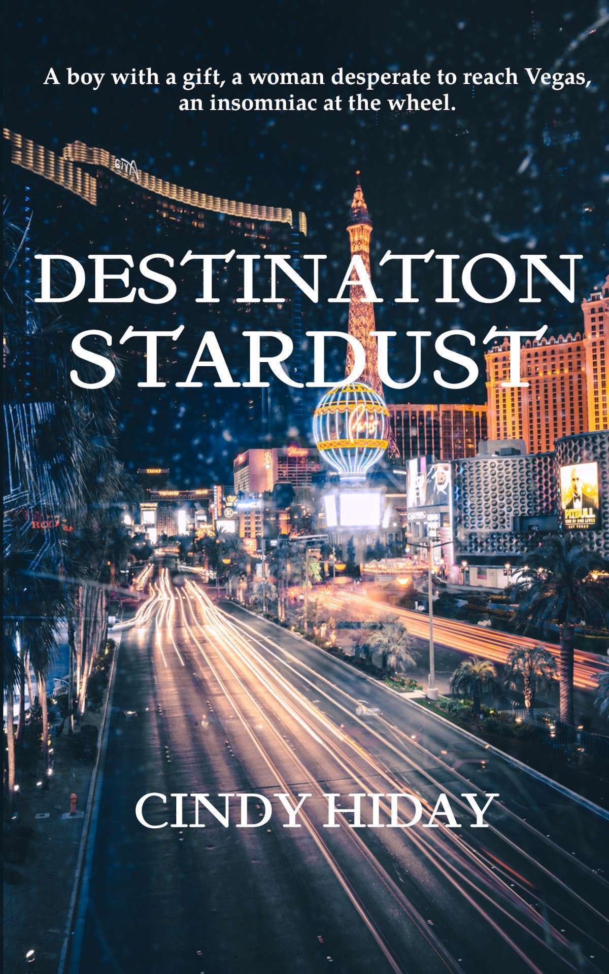 Destination Stardust (previously published as Father, Son & Grace)