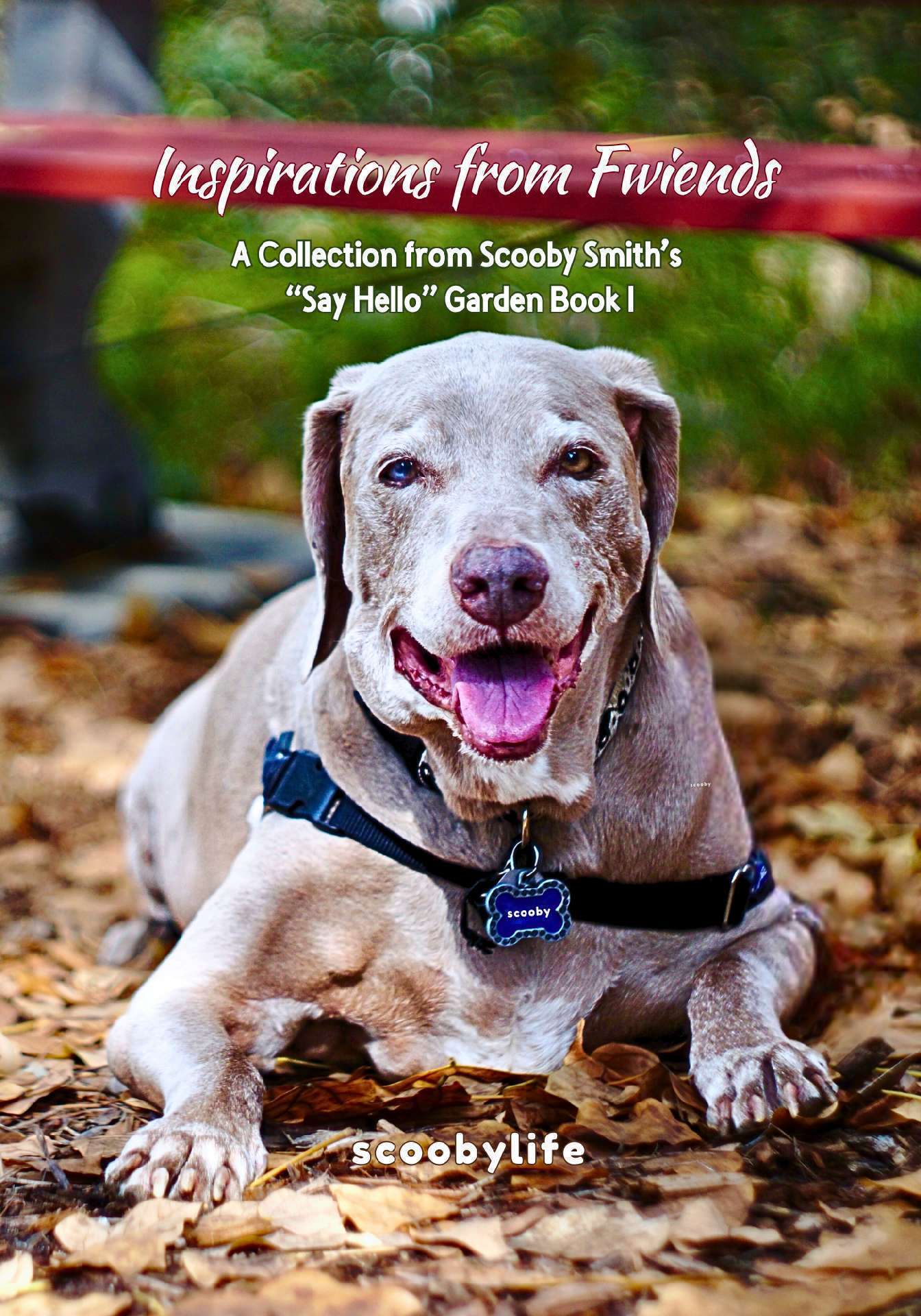 Inspirations from Fwiends