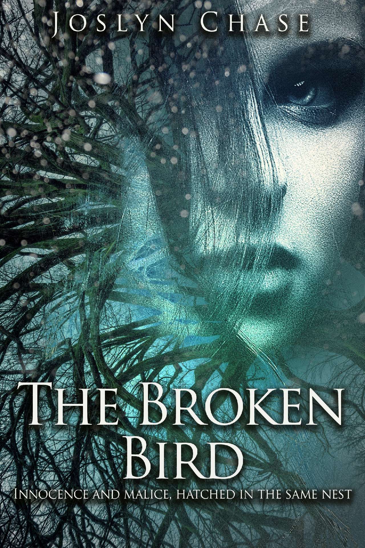 Joslyn Chase - The Broken Bird