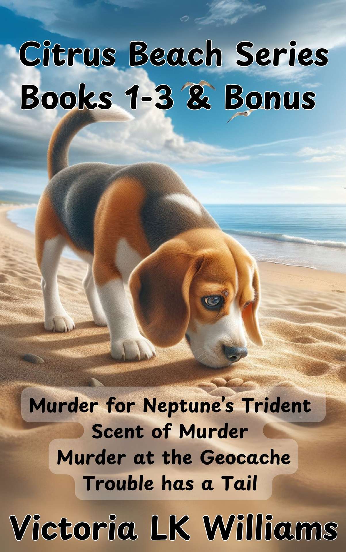 Citrus Beach Series  Books 1-3 & Bonus