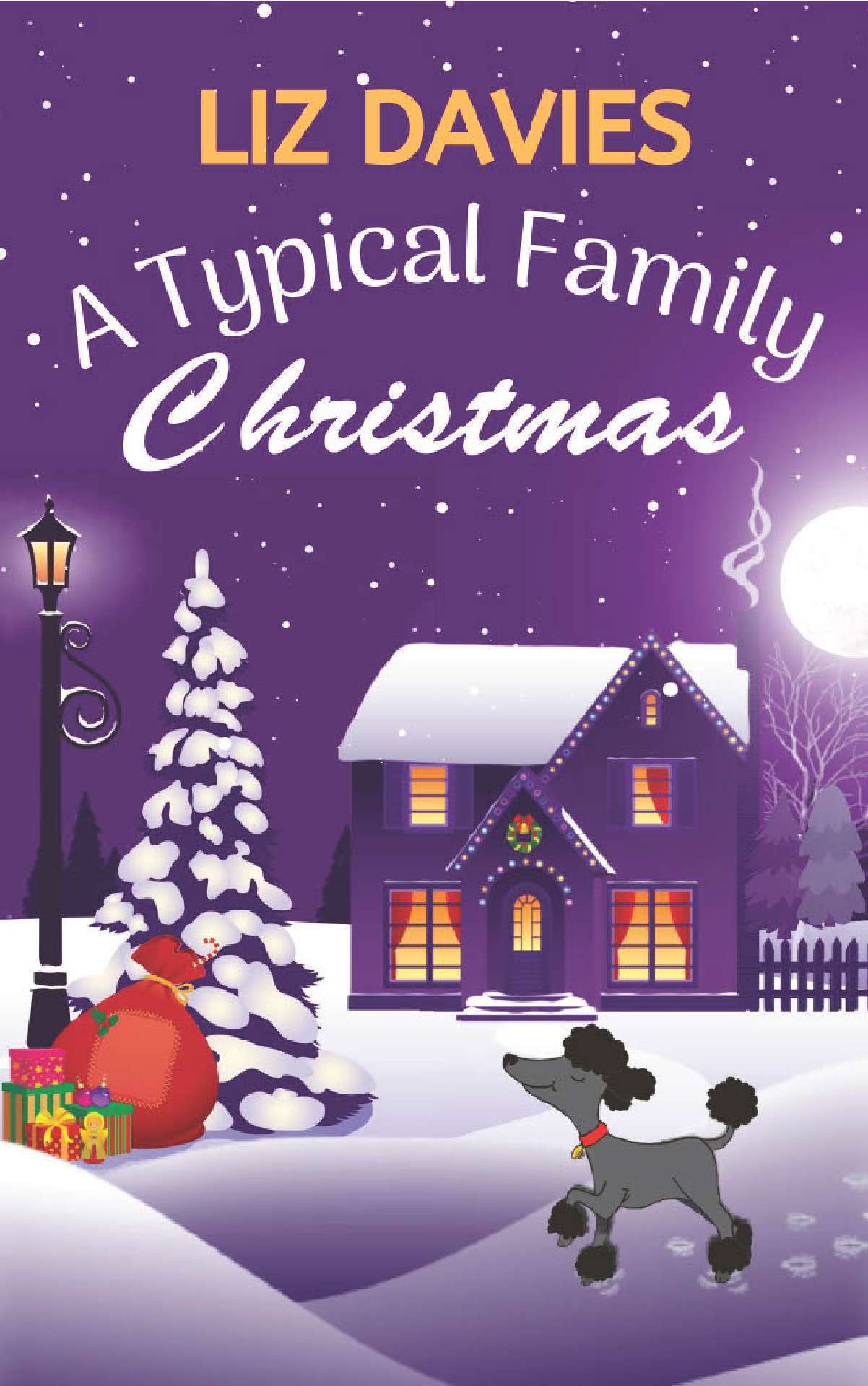 Liz Davies - A Typical Family Christmas - A Typical Family 1