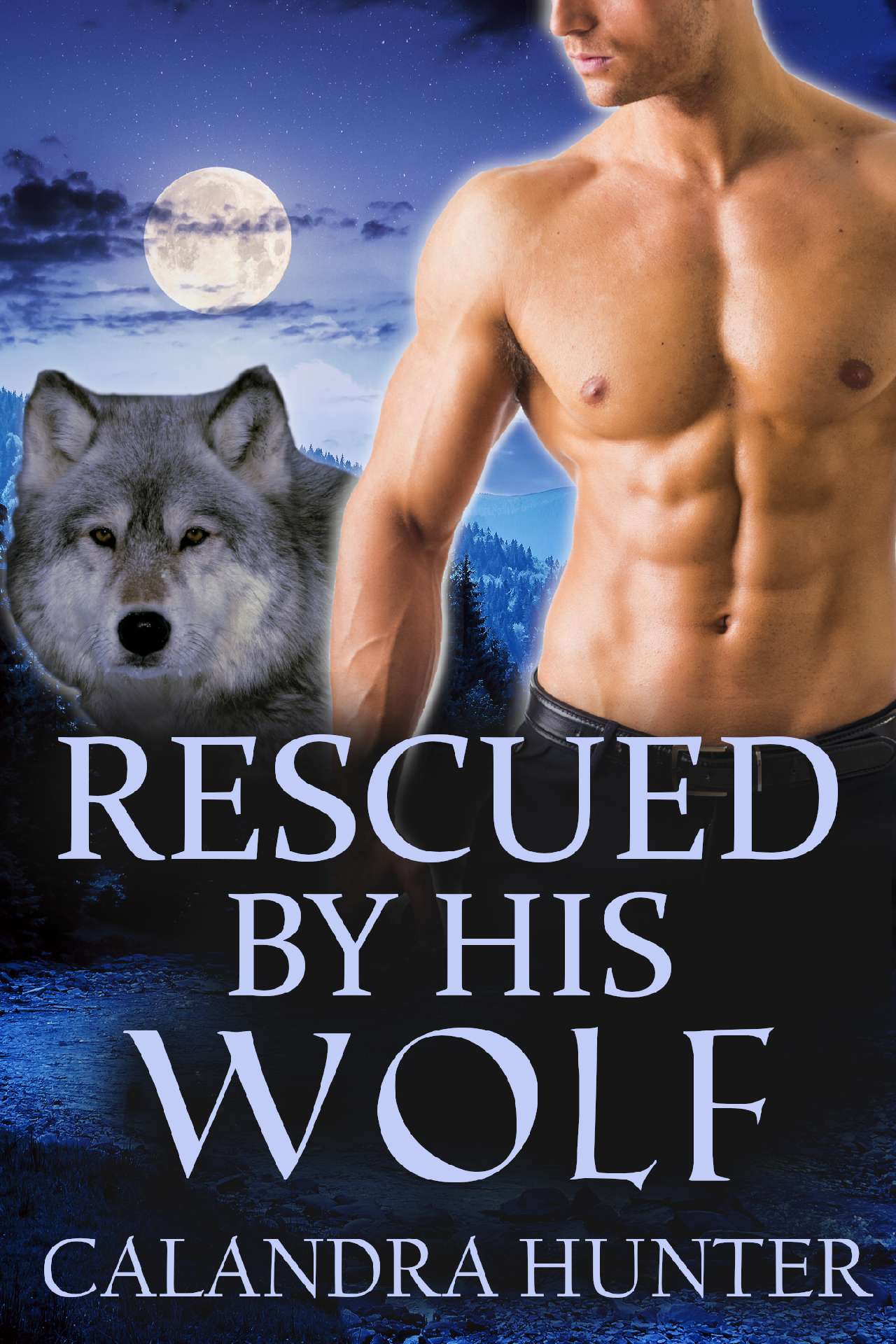 Rescued by his Wolf