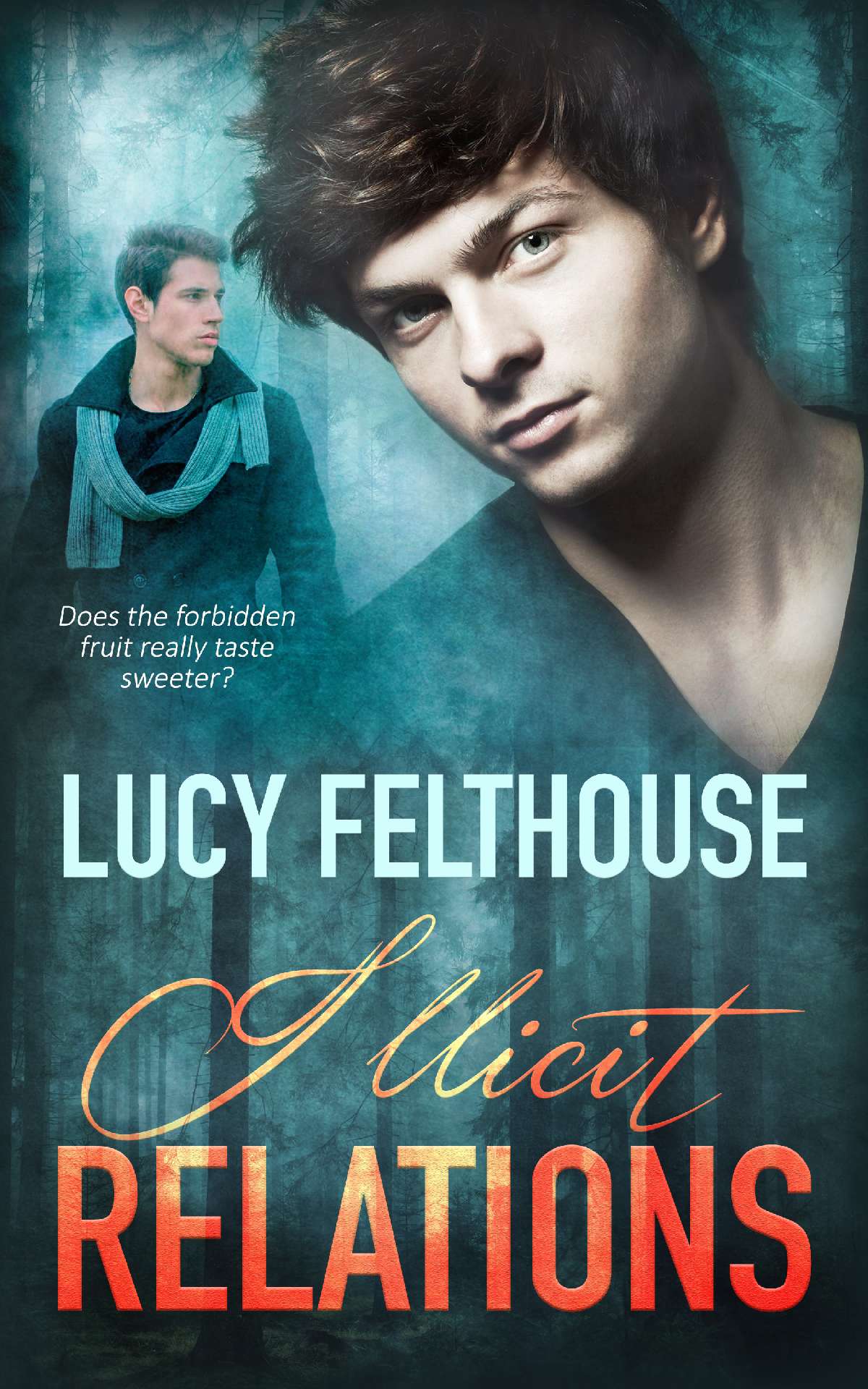 Lucy Felthouse - Illicit Relations