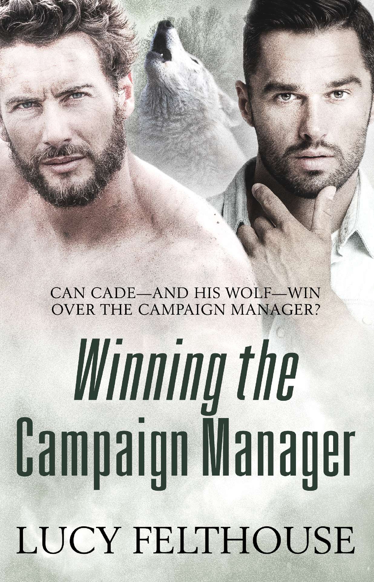 Winning the Campaign Manager