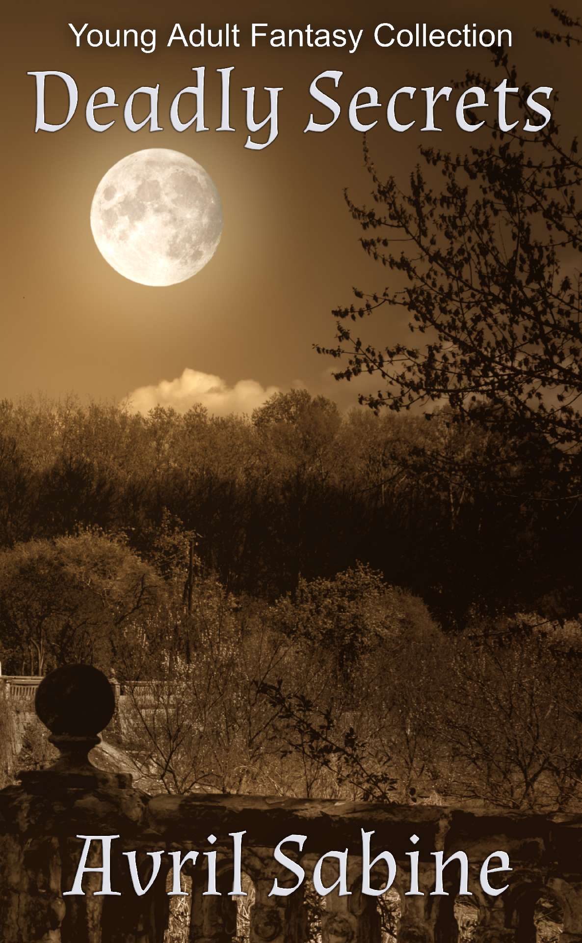 Deadly Secrets Young Adult Fantasy Collection