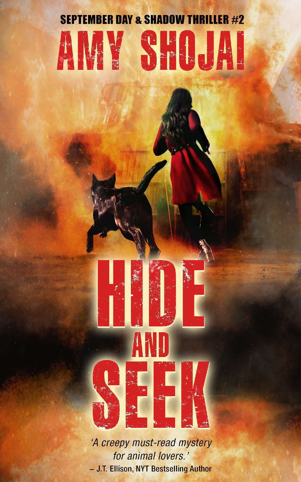 Hide And Seek: September & Shadow Thriller #2