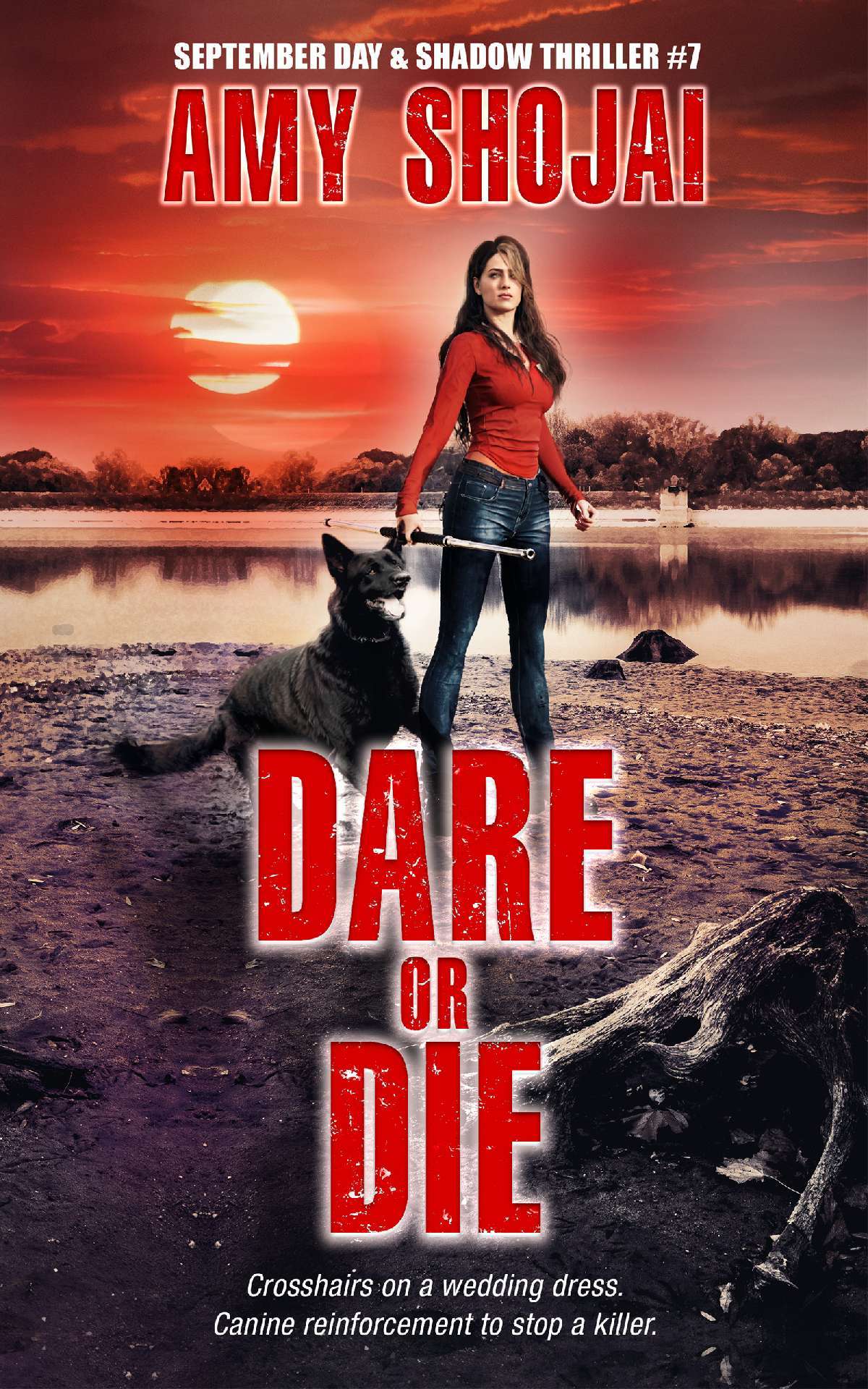 Dare Or Die: September & Shadow Thriller #7