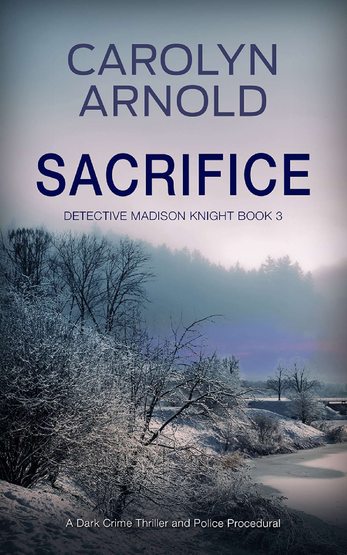 Carolyn Arnold - Sacrifice - Detective Madison Knight Series 3