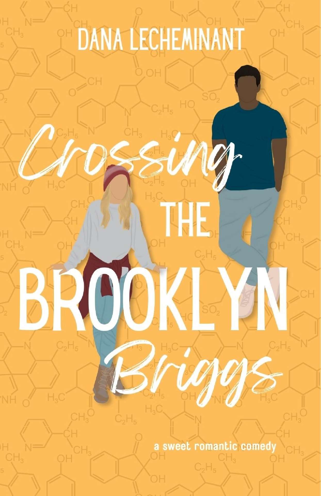 Crossing the Brooklyn Briggs
