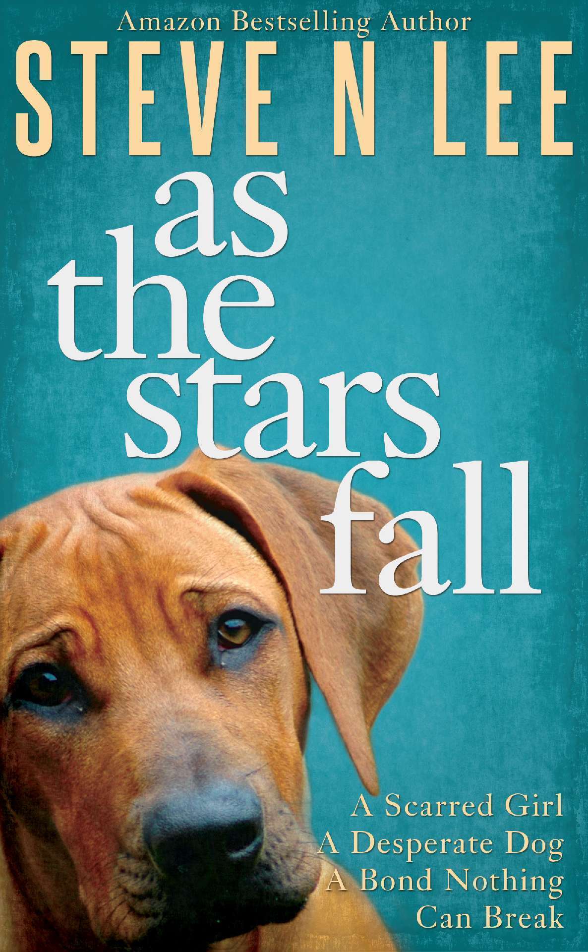 As The Stars Fall: A Heartwarming Dog Novel