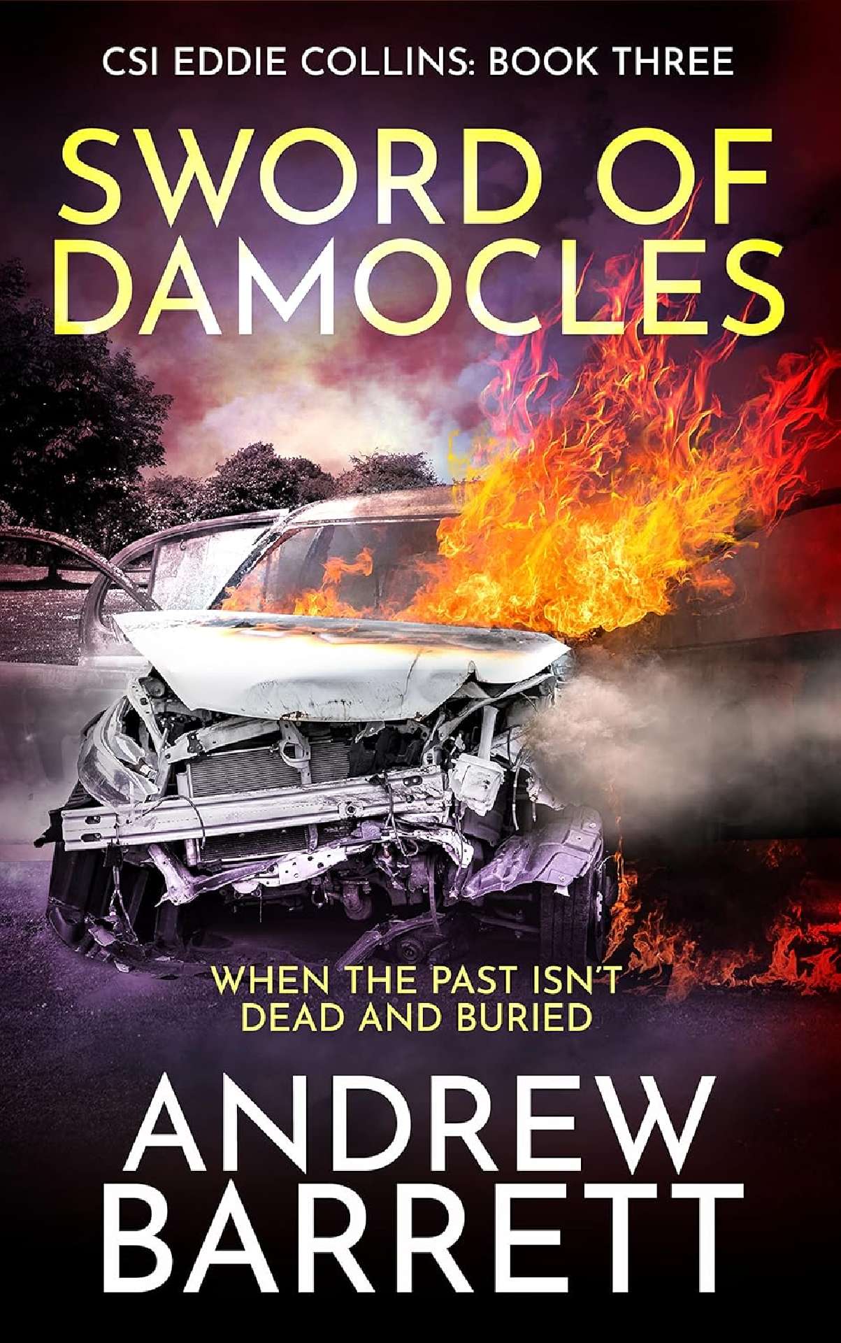Andrew Barrett - Sword of Damocles - CSI Eddie Collins Book