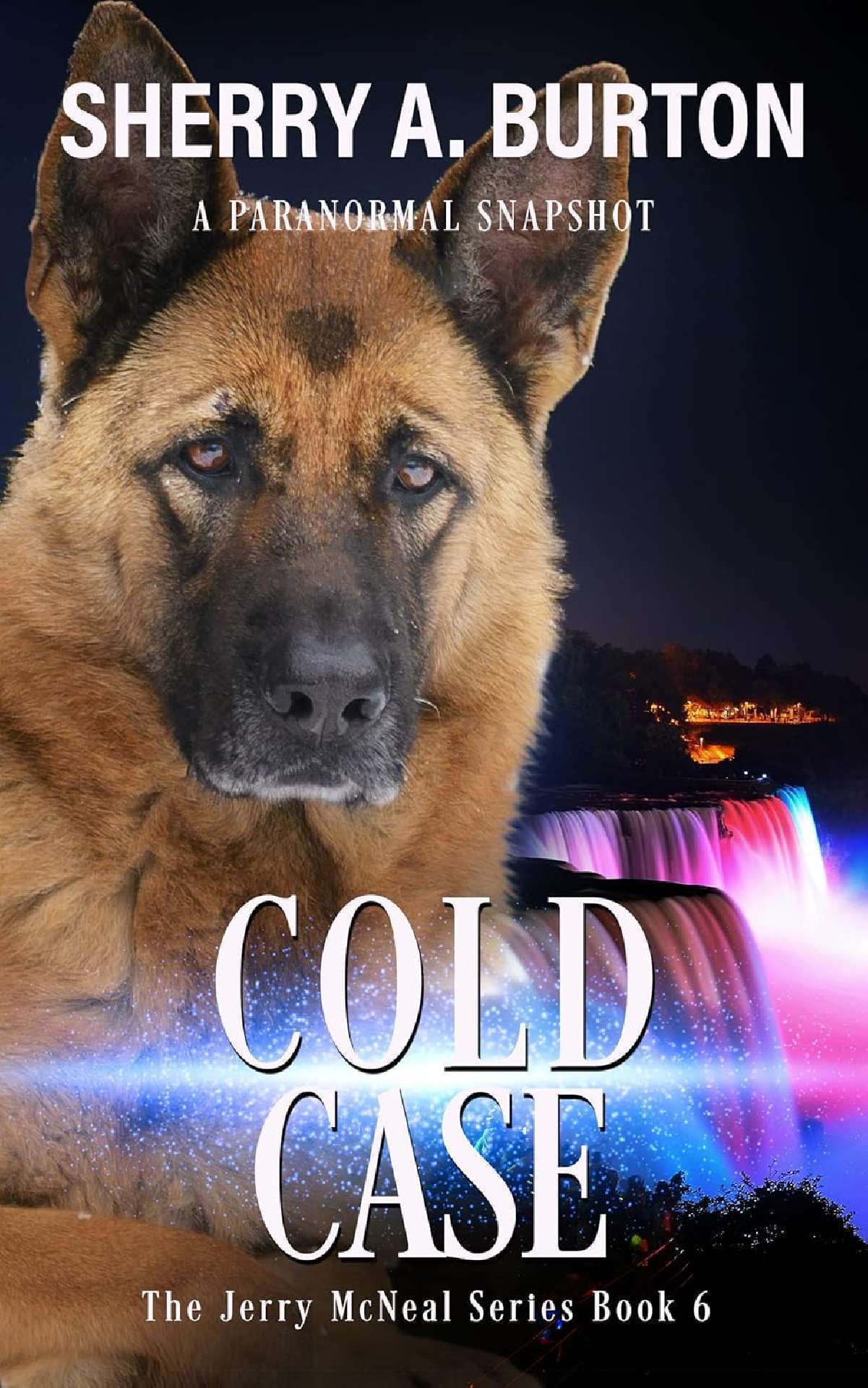 Cold Case (book 6)