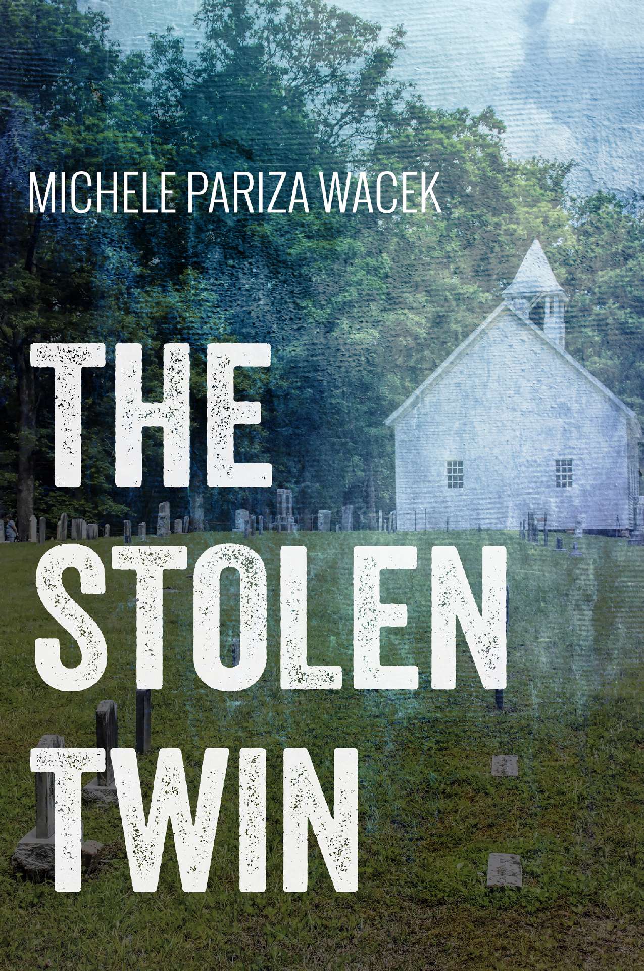Michele Pariza Wacek - The Stolen Twin - The Riverview Mysteries 2