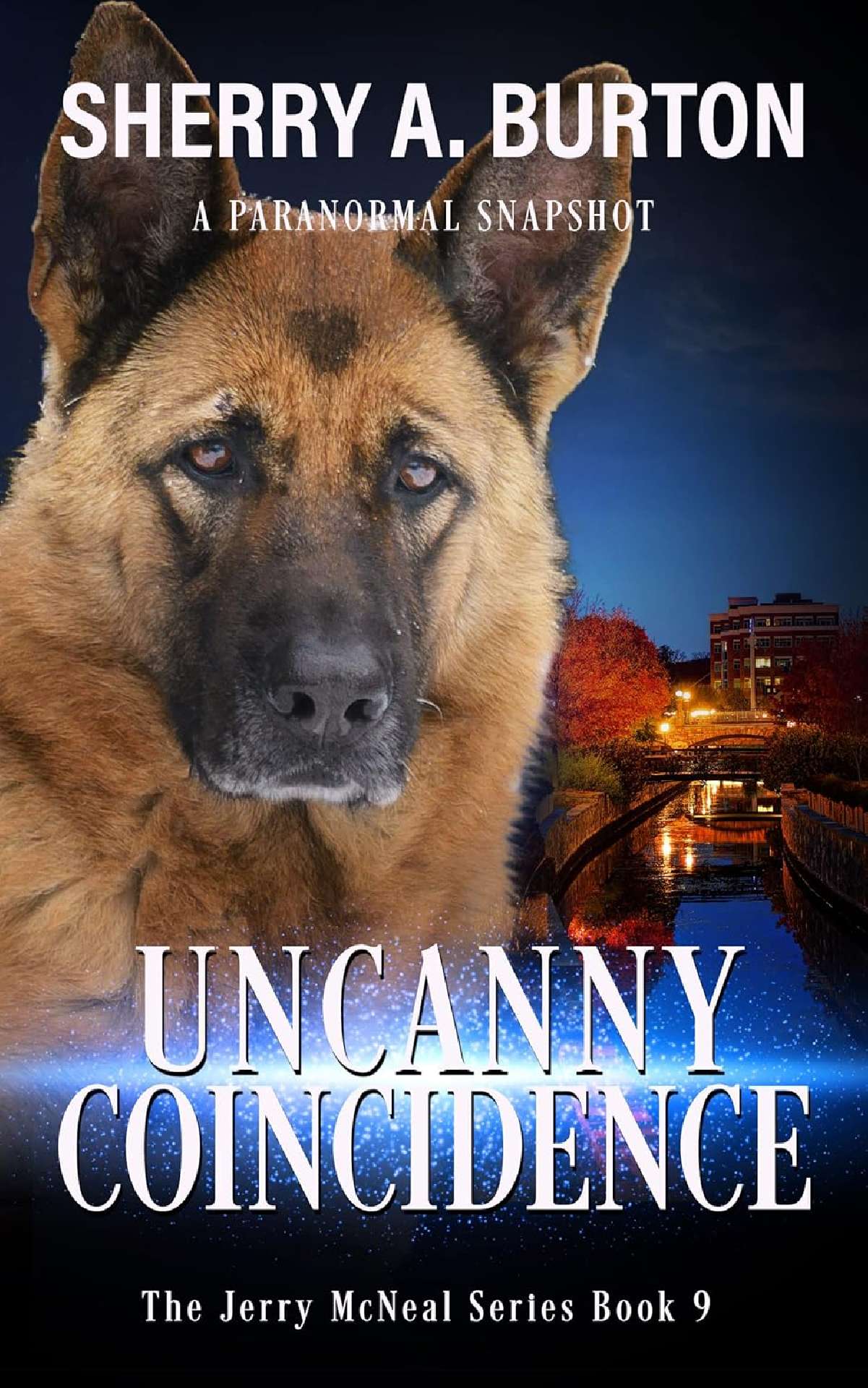 Sherry A. Burton - Uncanny Coincidence (book 9) - The Jerry McNeal Series