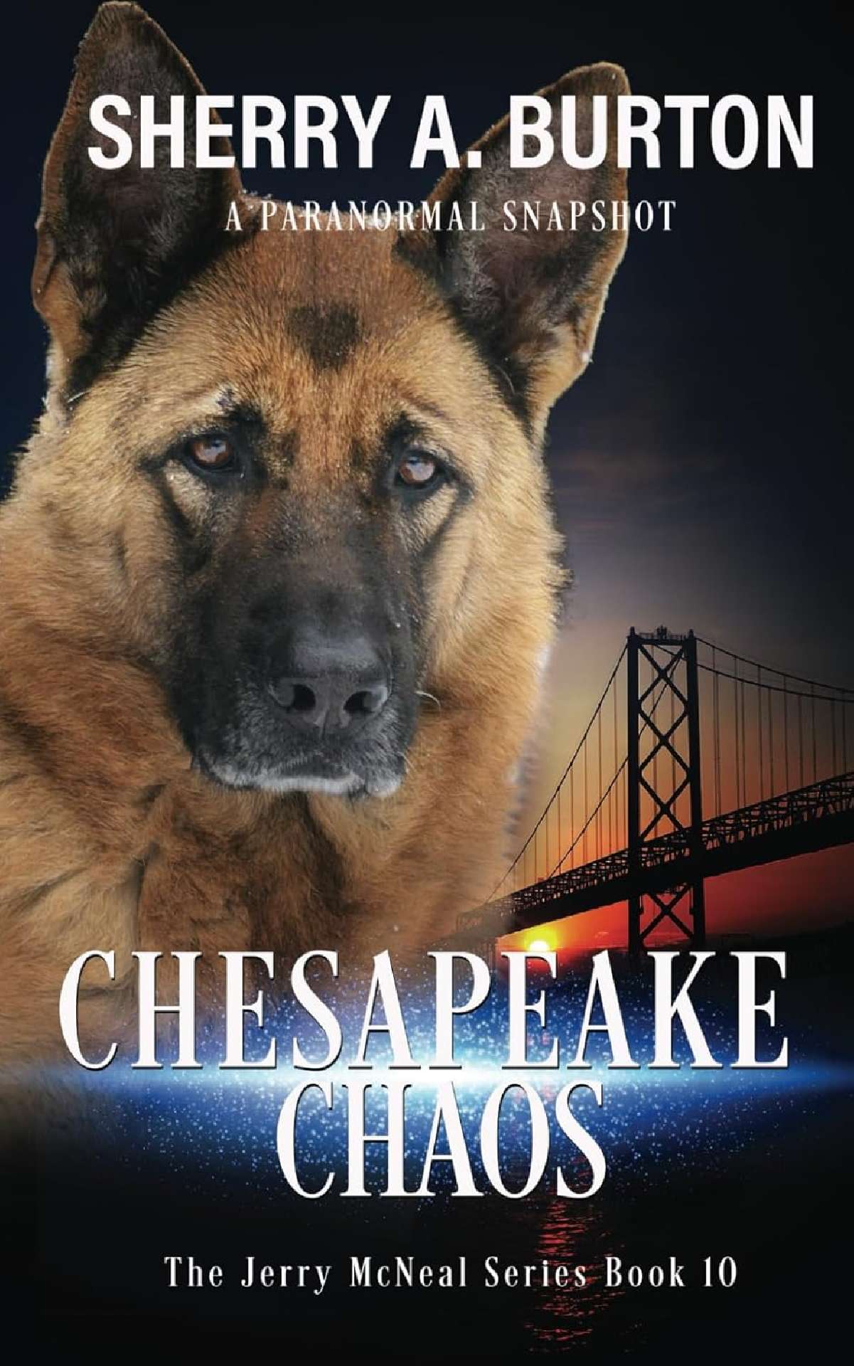 Sherry A. Burton - Chesapeake Chaos (book 10) - The Jerry McNeal Series