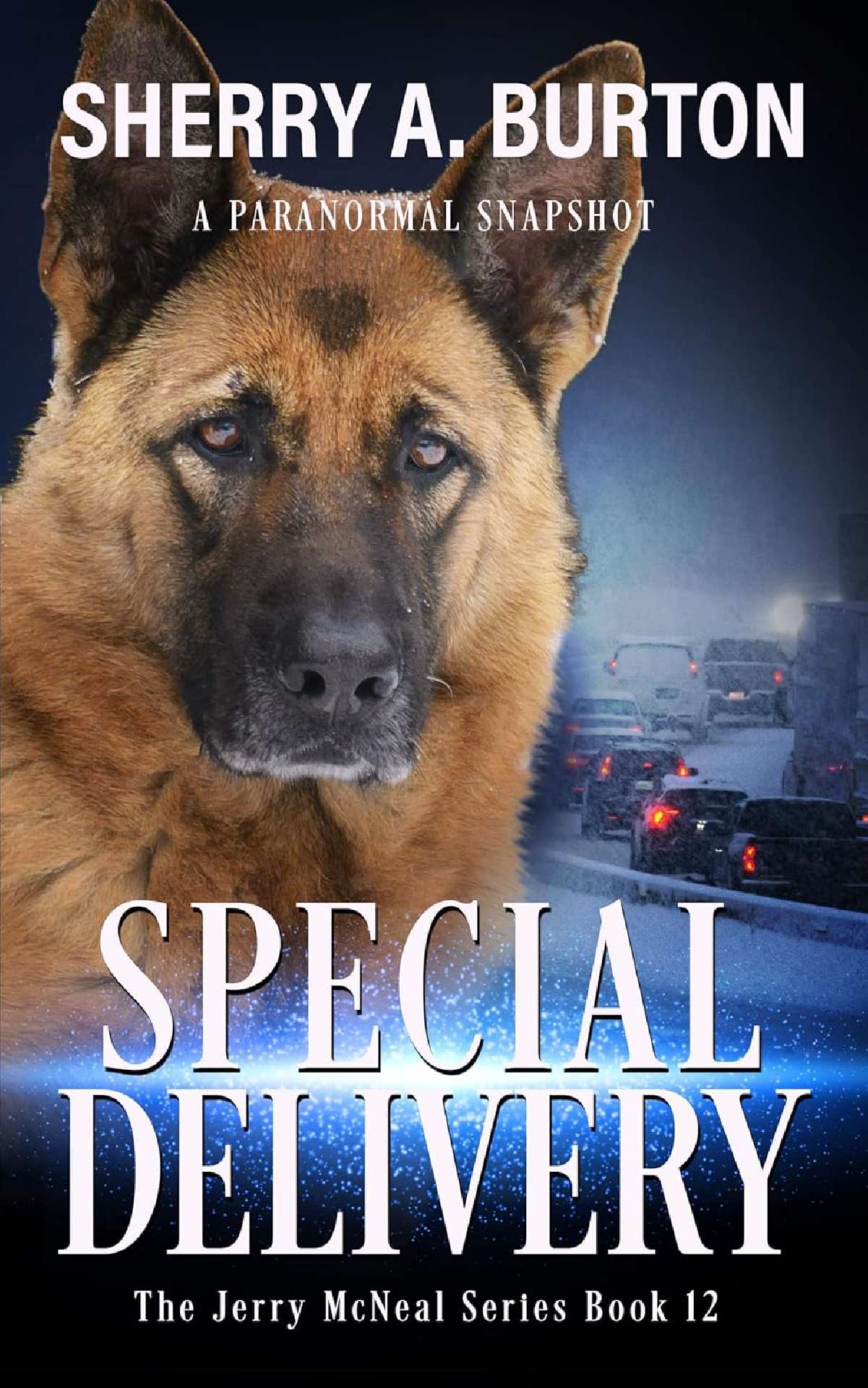 Special Delivery  (book 12)
