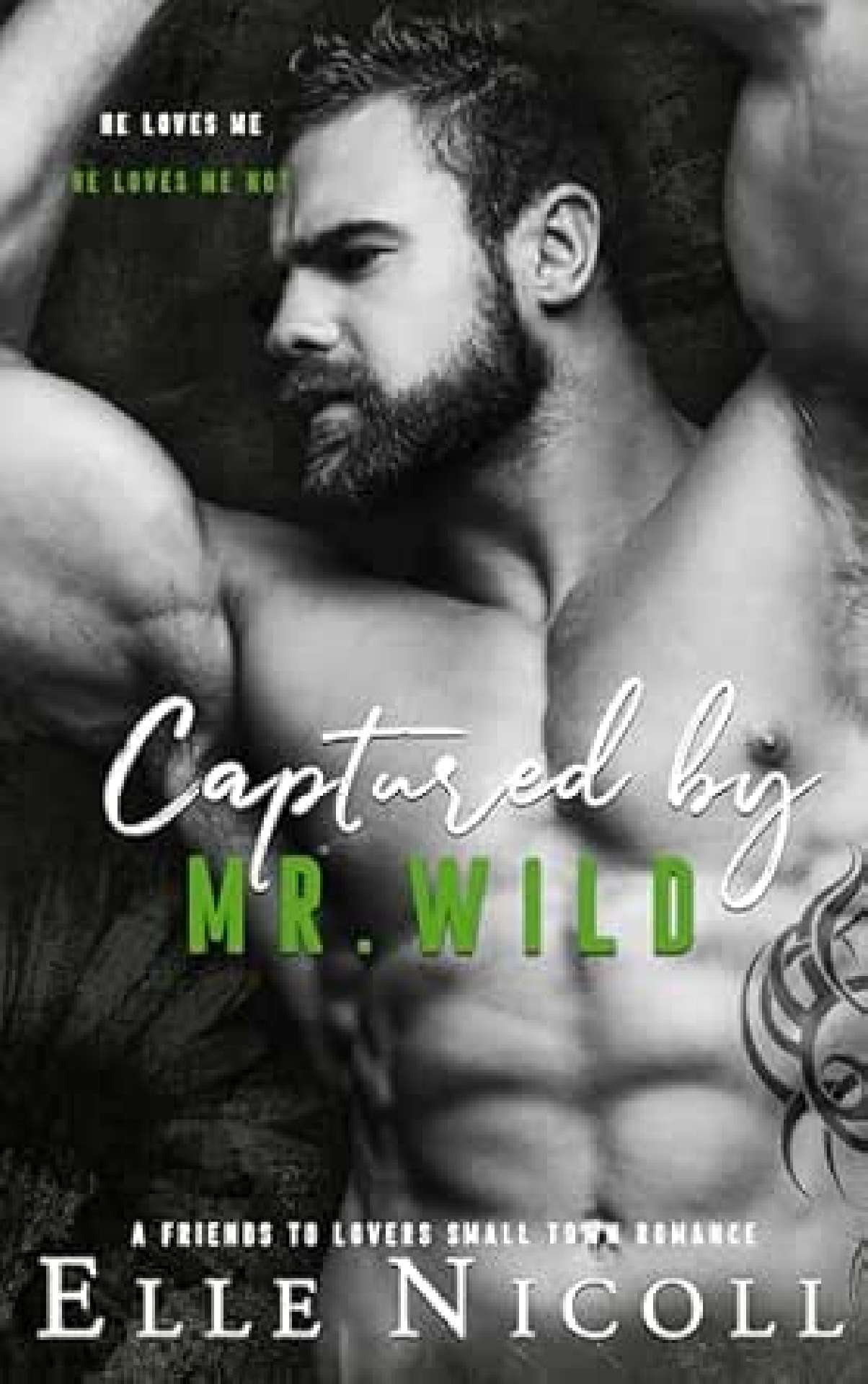 Captured by Mr. Wild