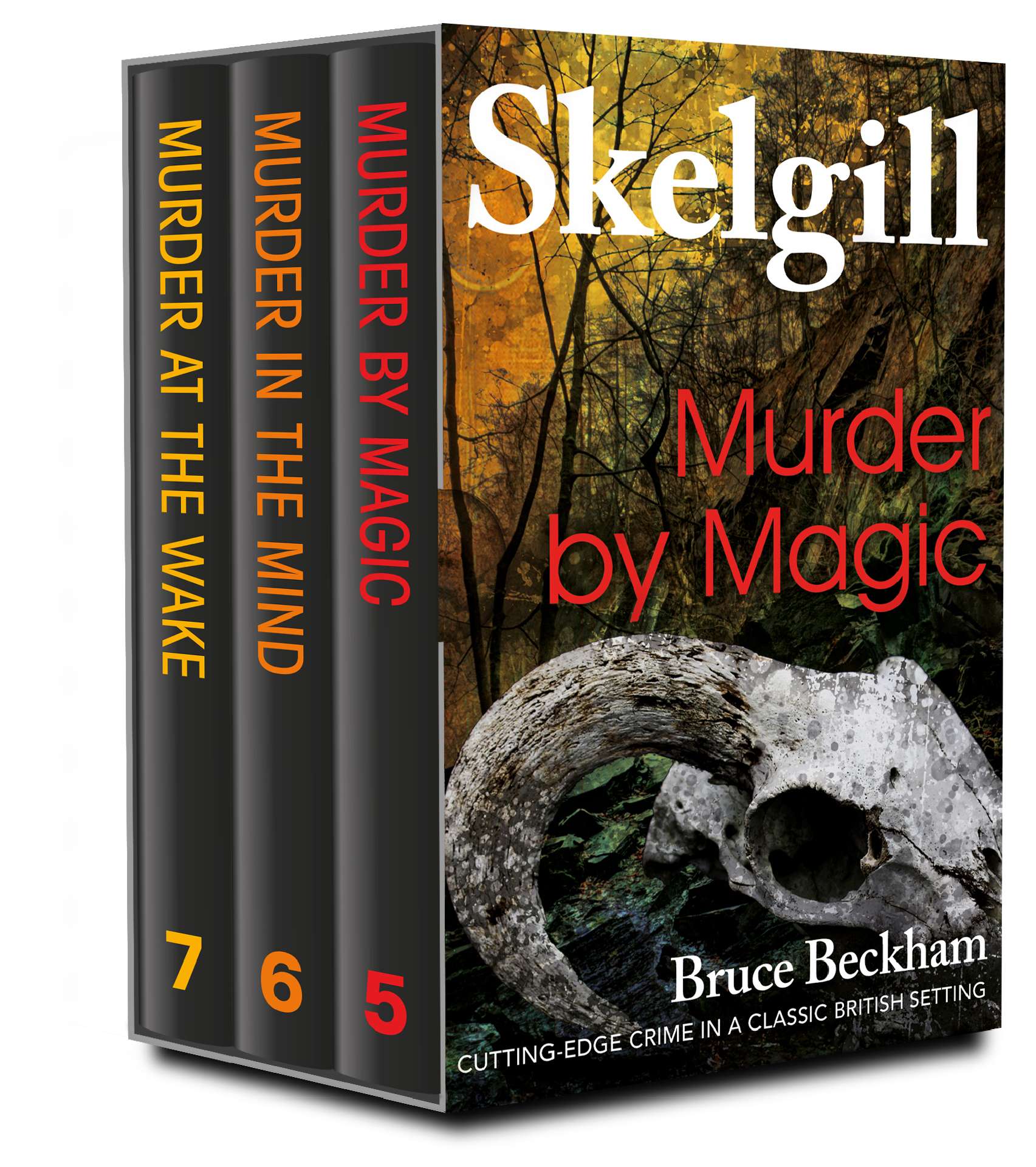 The DI Skelgill Series Books 5-7