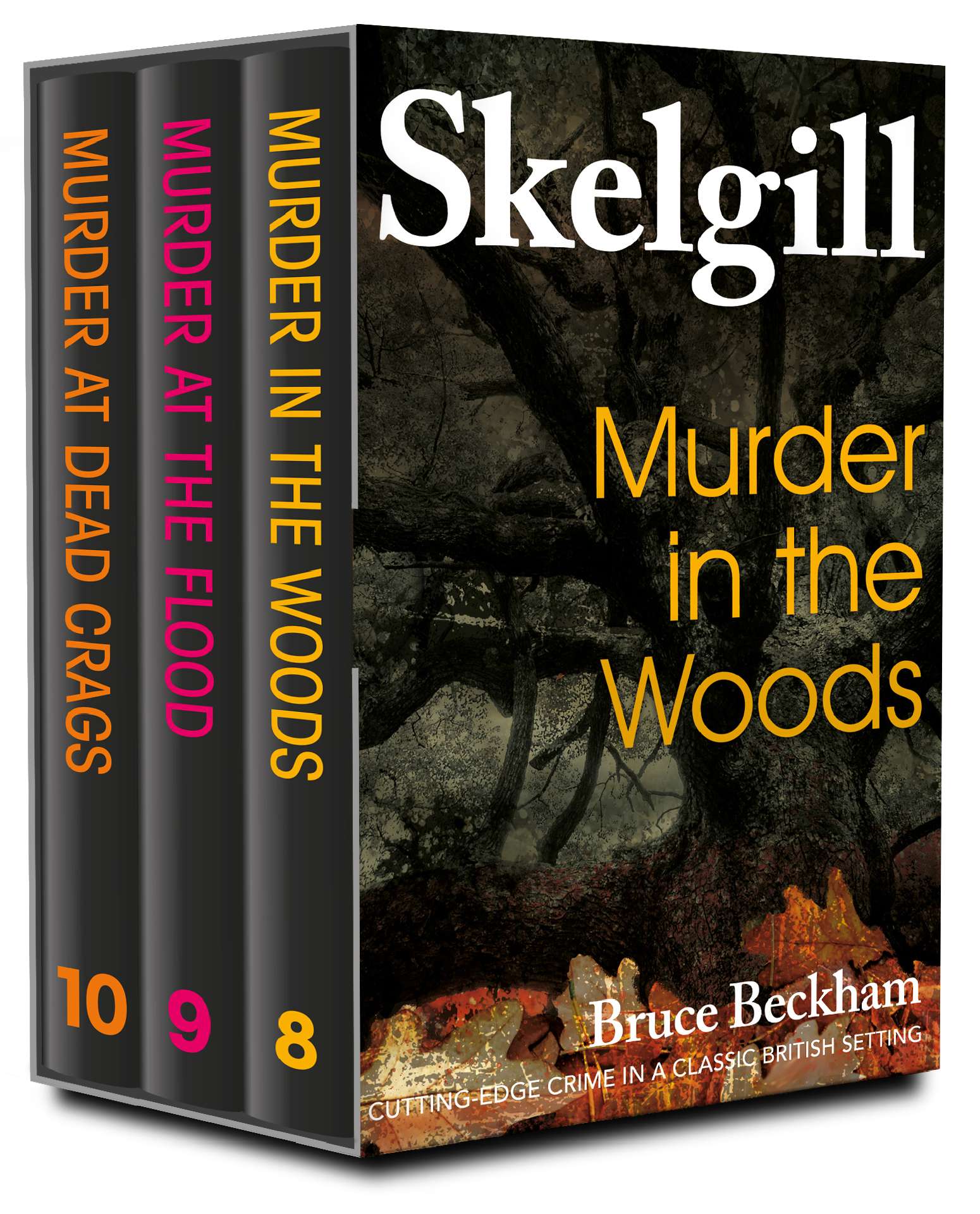 The DI Skelgill Series Books 8-10