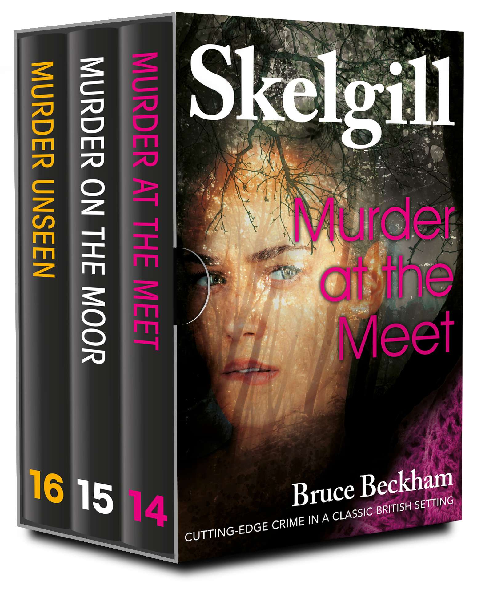 The DI Skelgill Series Books 14-16