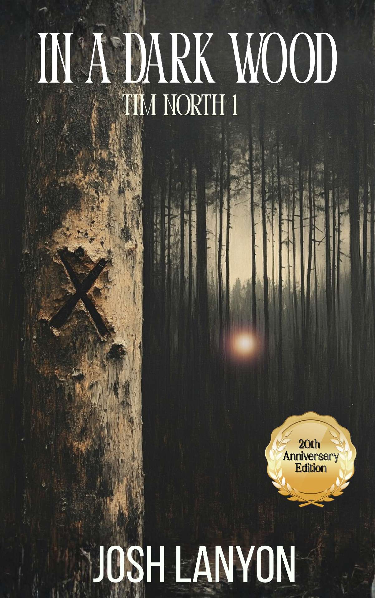Josh Lanyon - In a Dark Wood