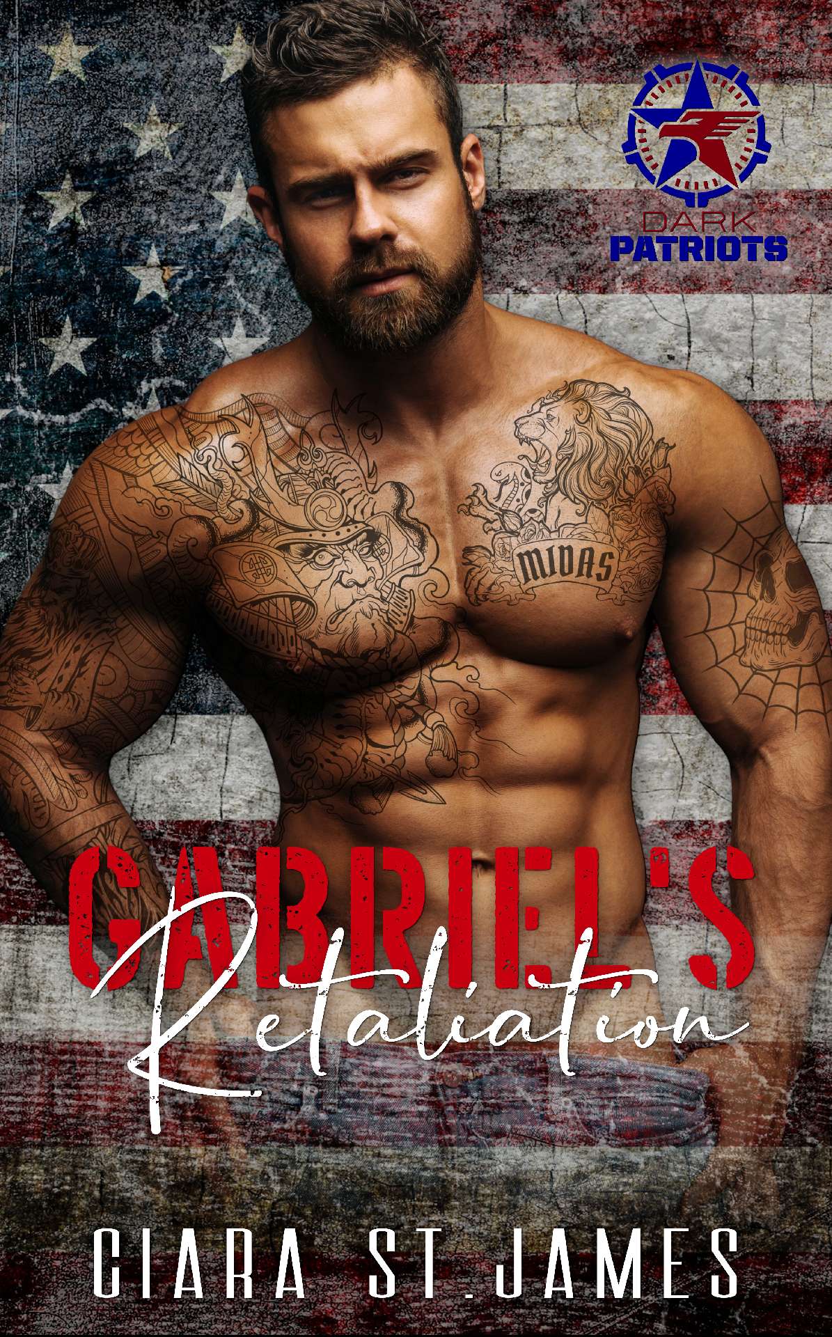 Ciara St James - Gabriel's Retaliation - Dark Patriots 2