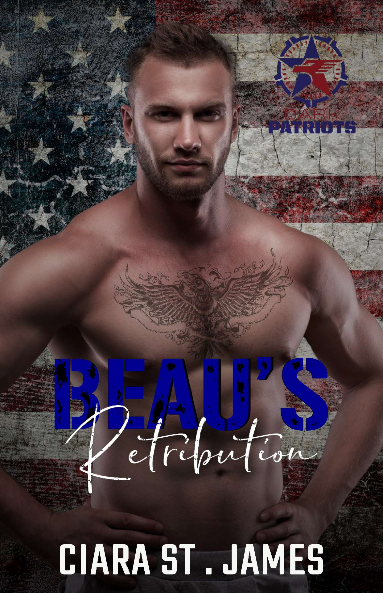 Ciara St James - Beau's Retribution - Dark Patriots 4