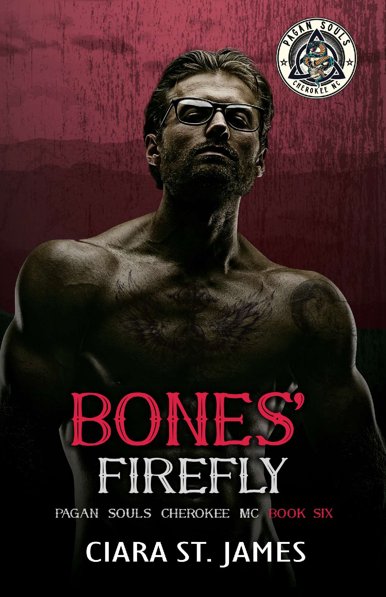 Ciara St James - Bones' Firefly - Pagan Souls of Cherokee MC 6