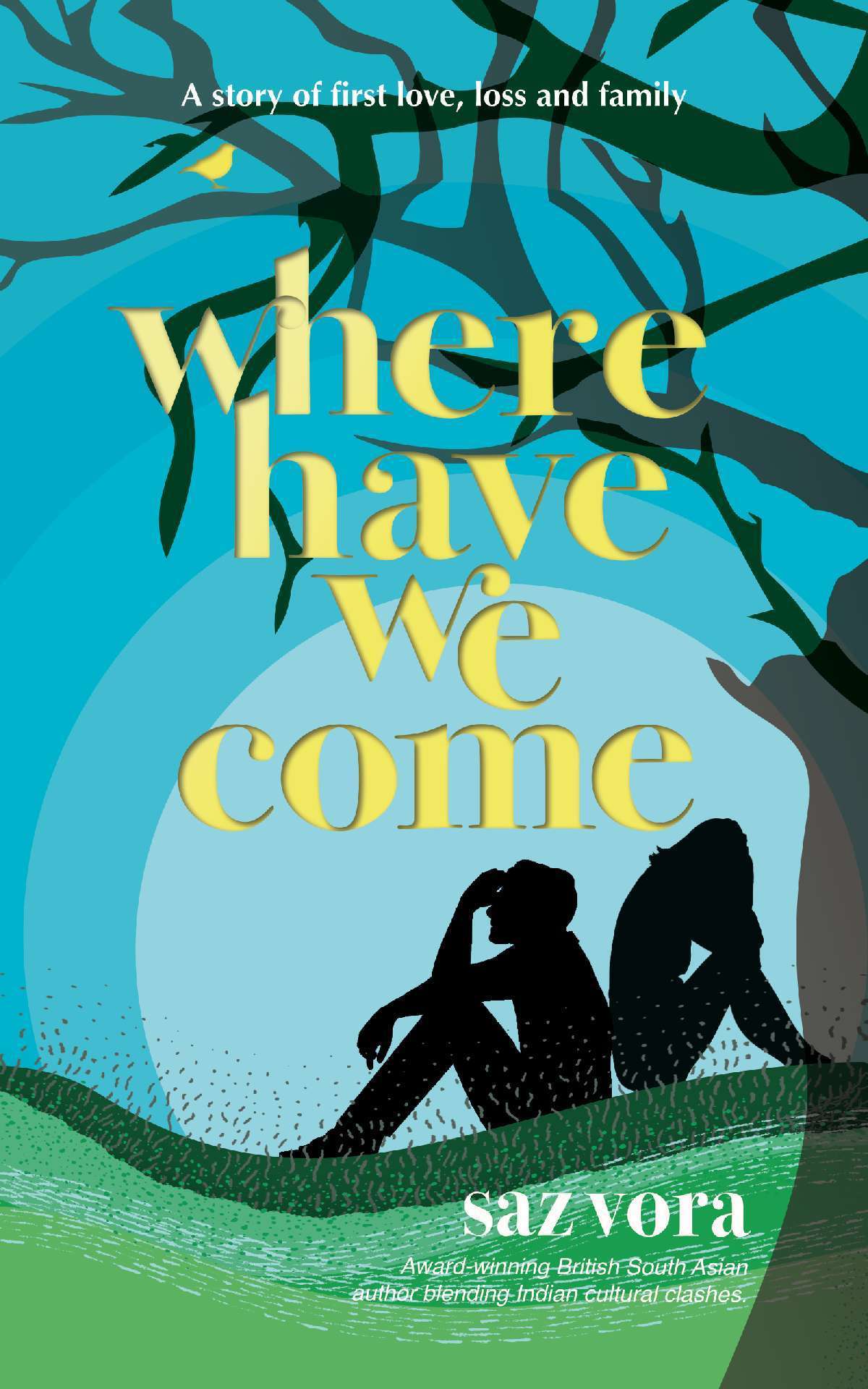 Where Have We Come - A story of first love, loss and family