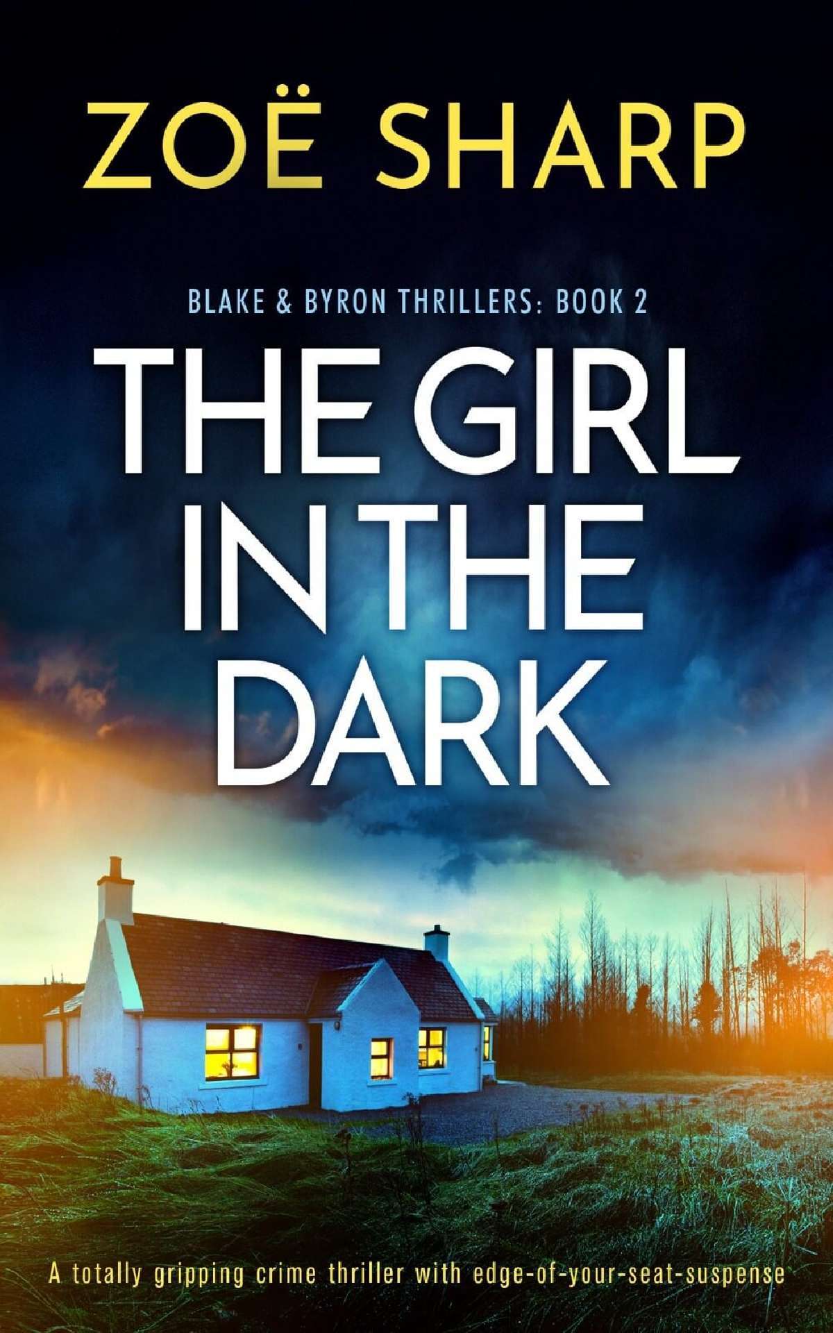 The Girl In The Dark