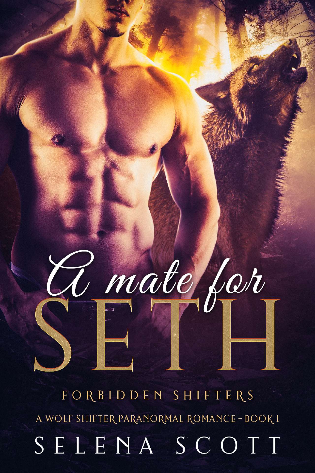 A Mate For Seth