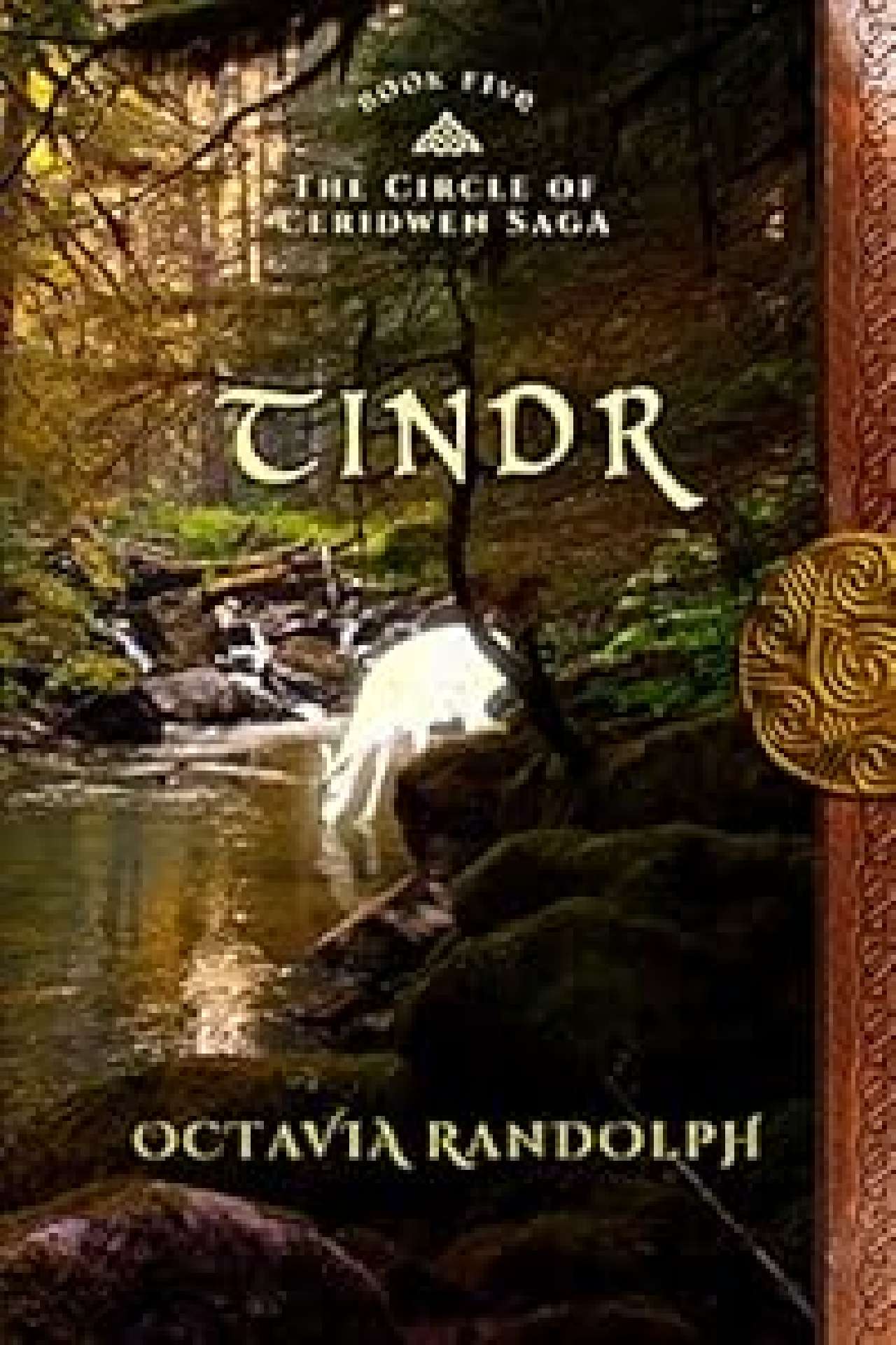 Tindr: Book Five of The Circle of Ceridwen Saga