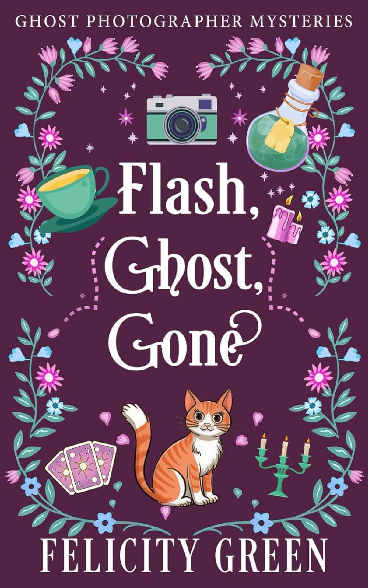 Flash, Ghost, Gone: A Ghost Photographer Paranormal Cozy Mystery