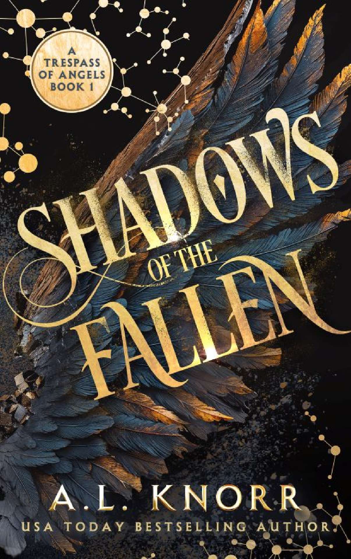 Shadows of the Fallen