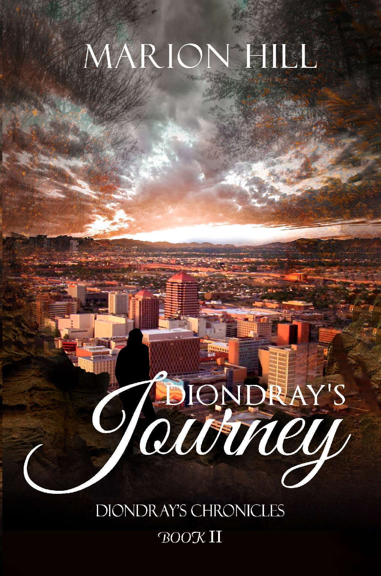 Diondray's Journey