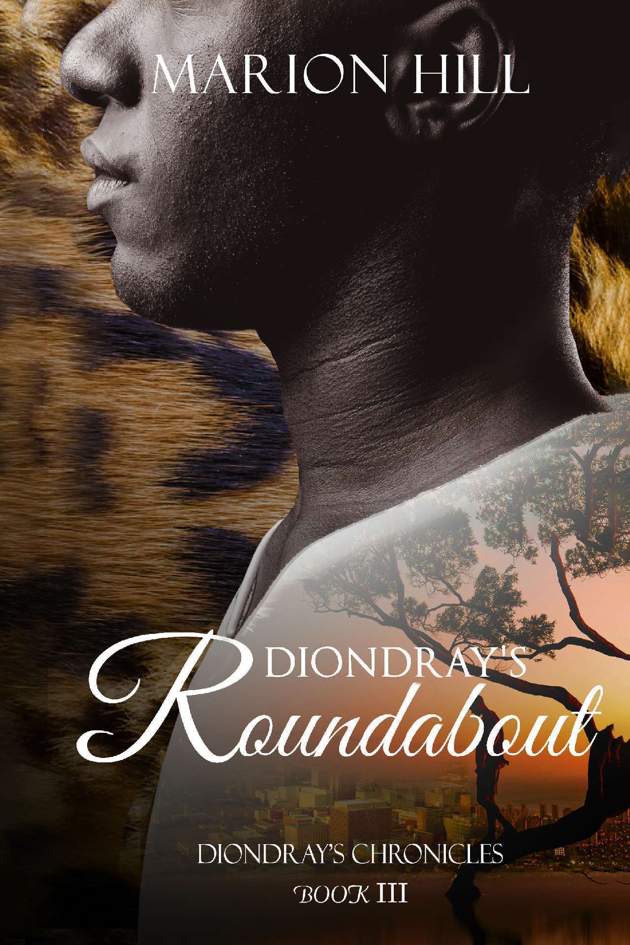 Diondray's Roundabout